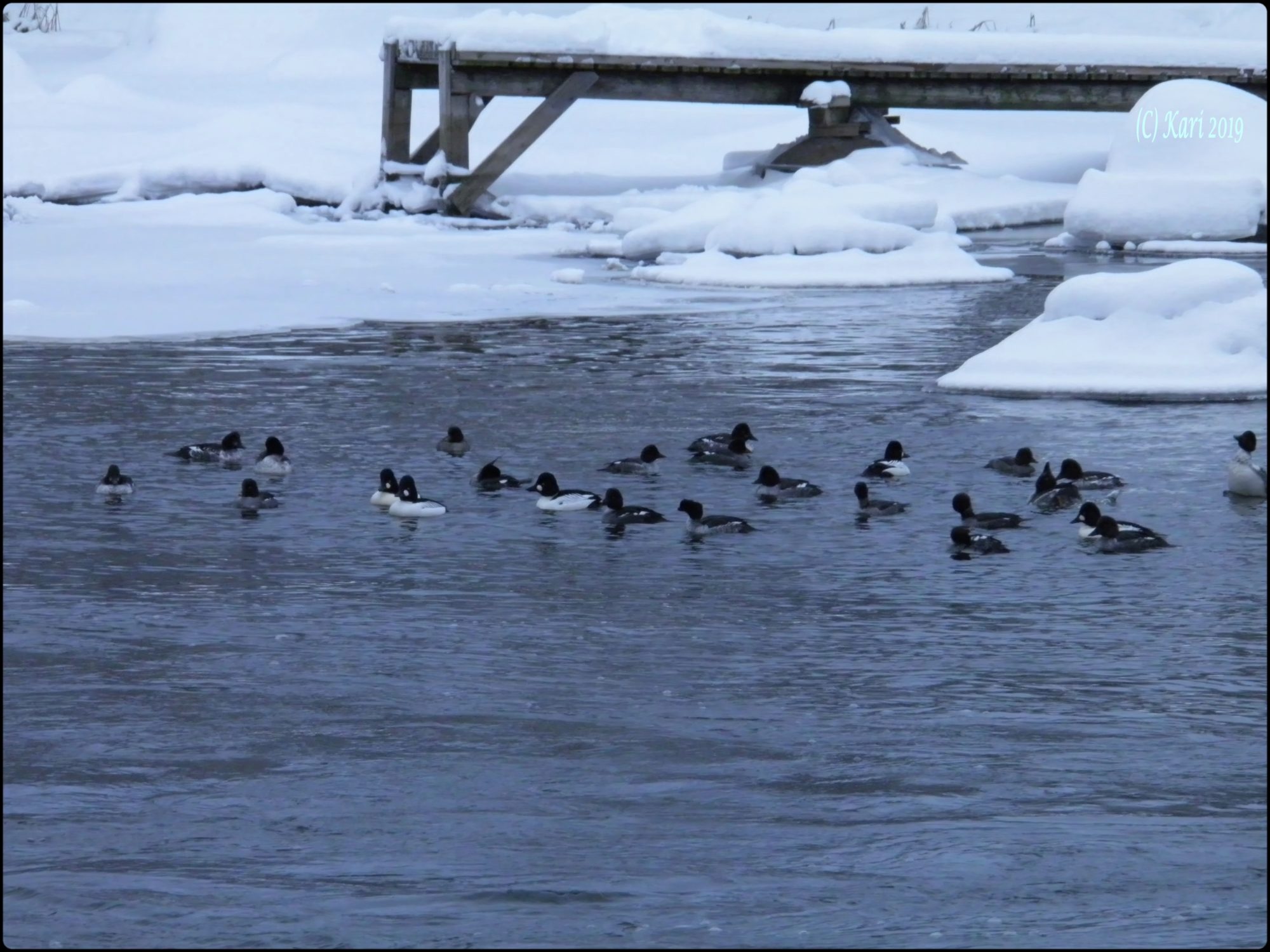 Valokuvaaja: Kari Saarinen