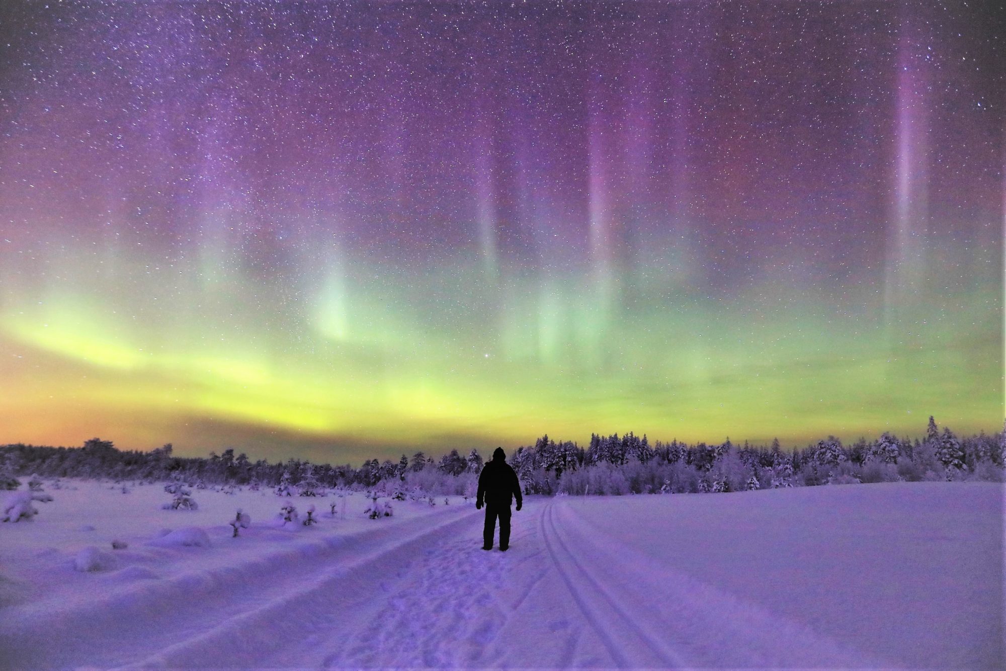 Valokuvaaja: Pekka Hatunen Valokuvaaja: Pekka Hatunen