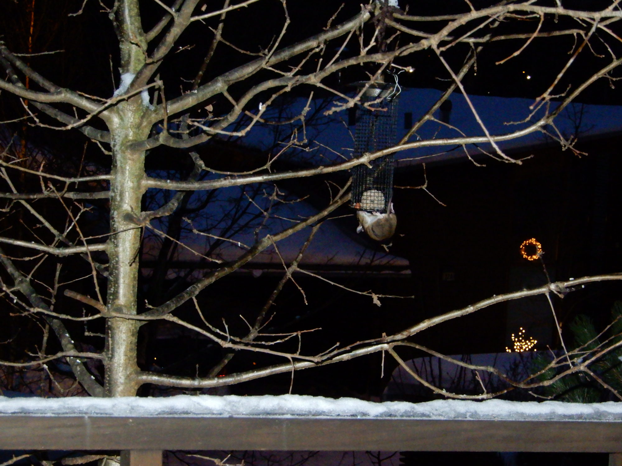 Valokuvaaja: Ansa Autio Valokuvaaja: Ansa Autio