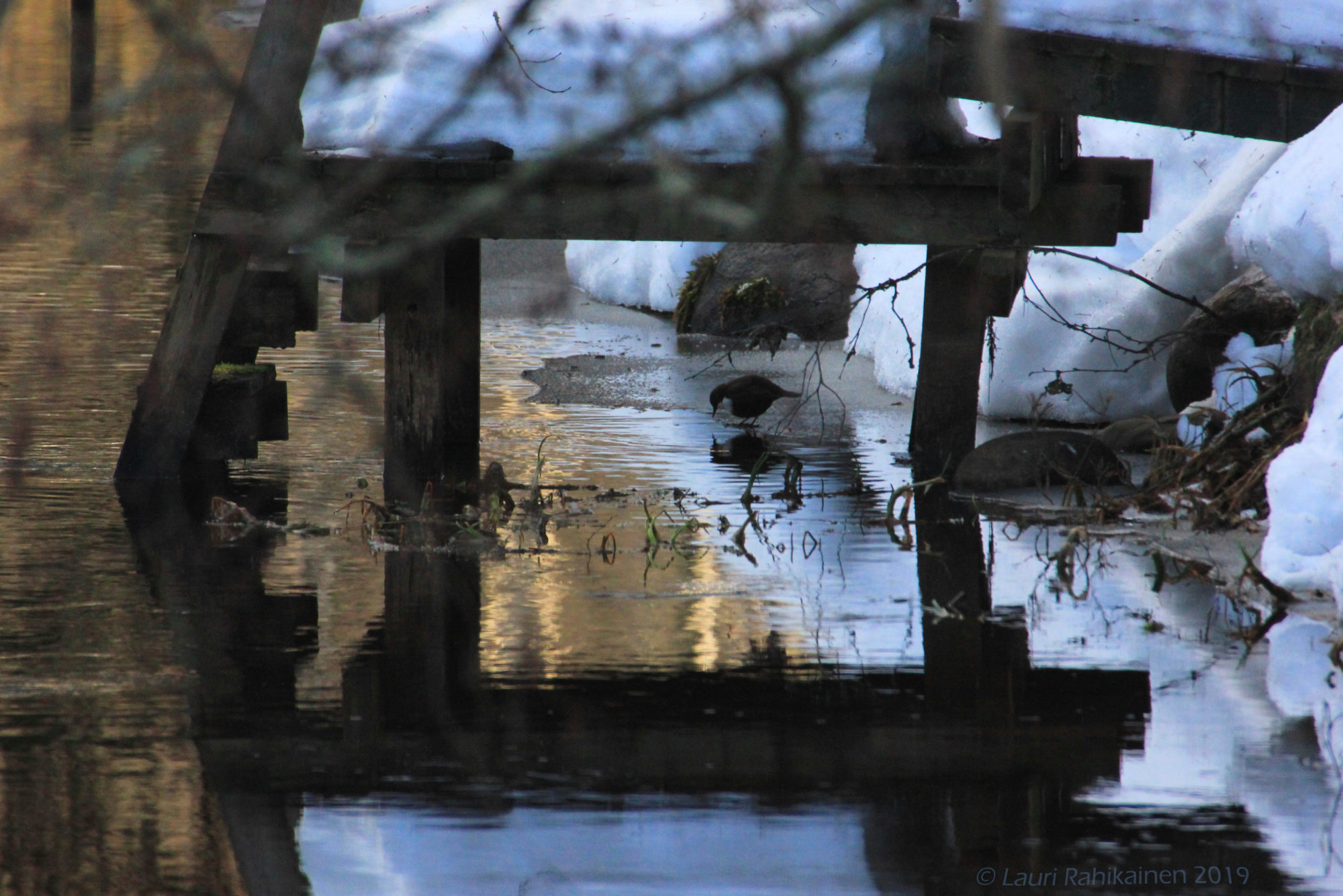 Valokuvaaja: Lauri Rahikainen