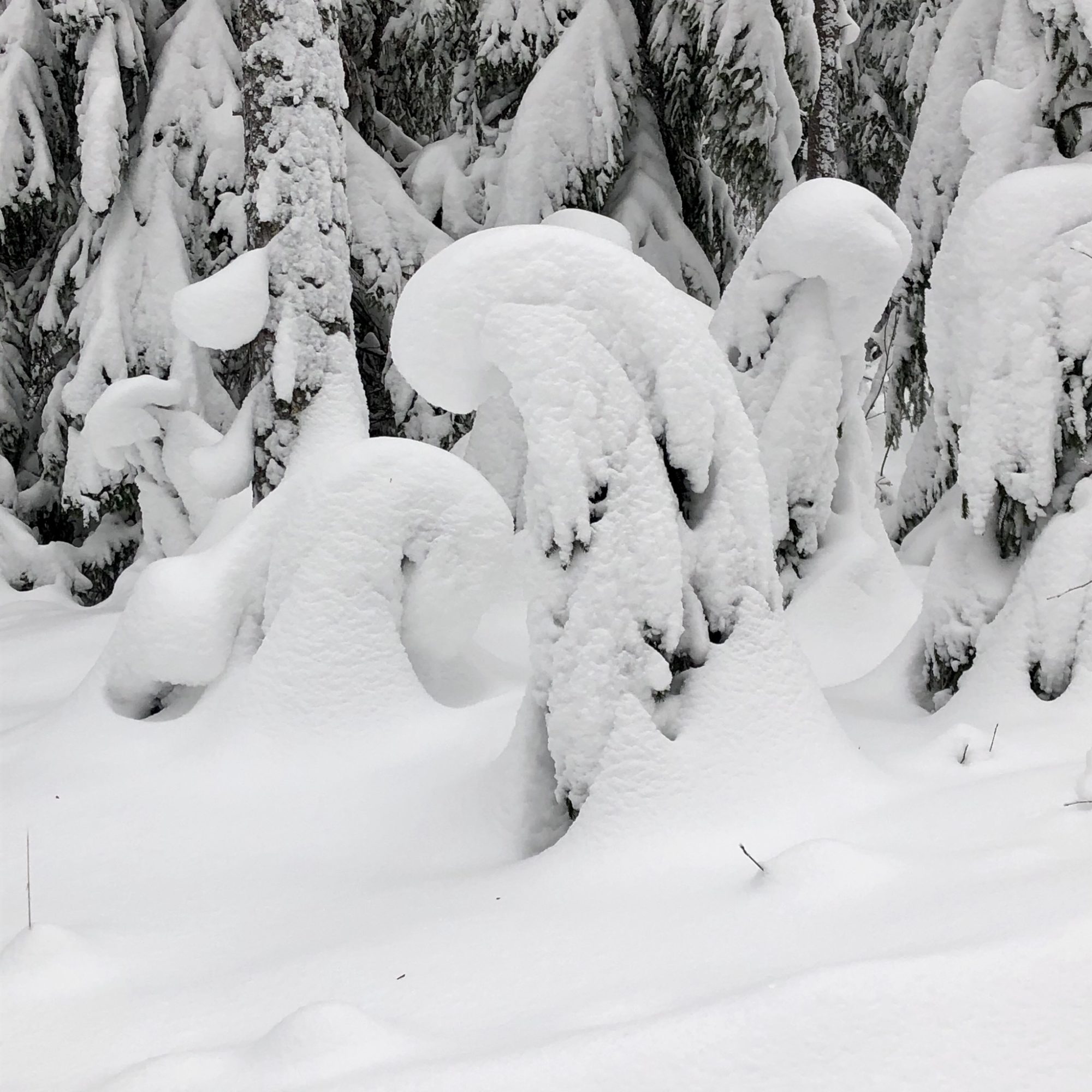 Valokuvaaja: Pirjo Kallio Valokuvaaja: Pirjo Kallio