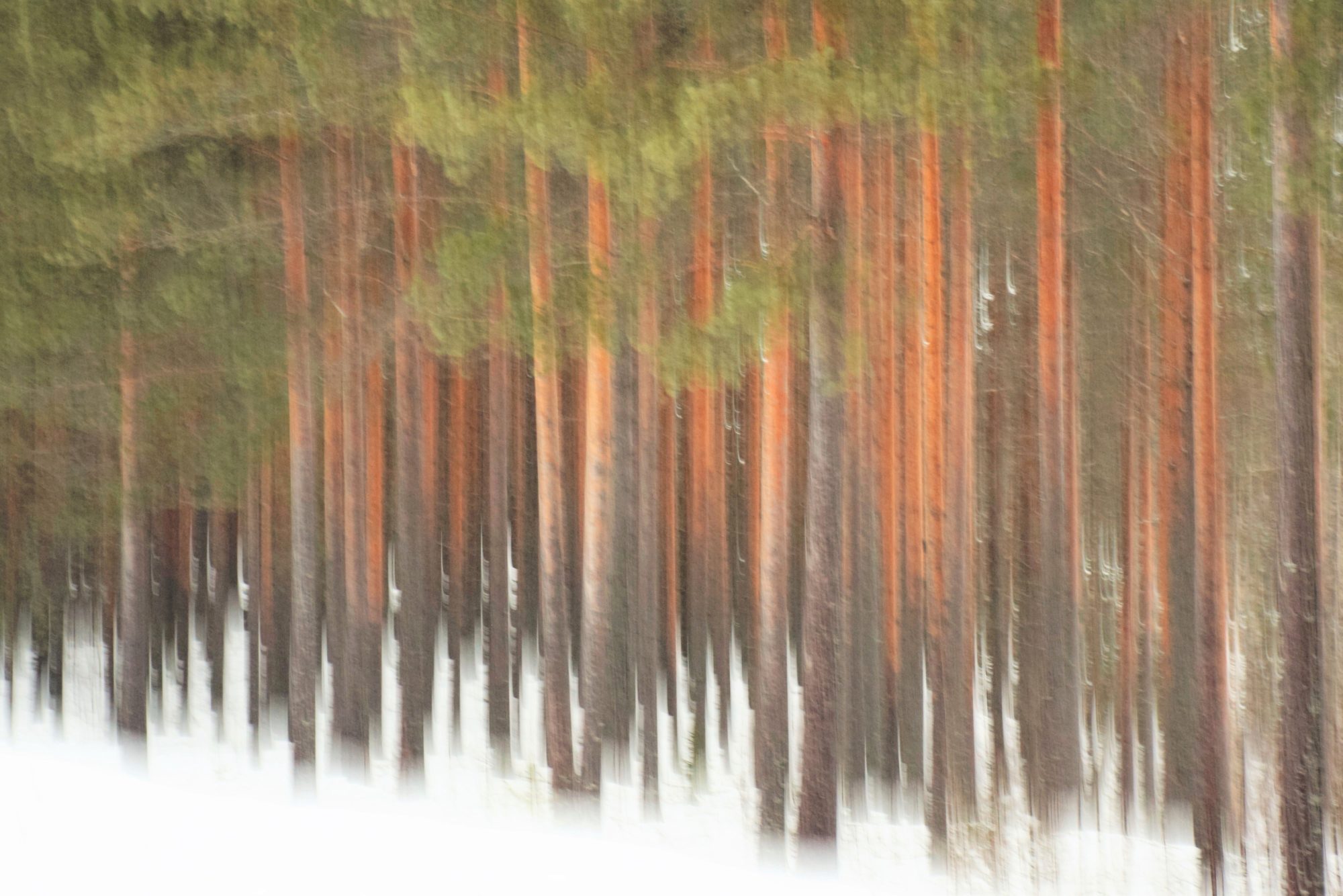 Valokuvaaja: Leena Rissanen