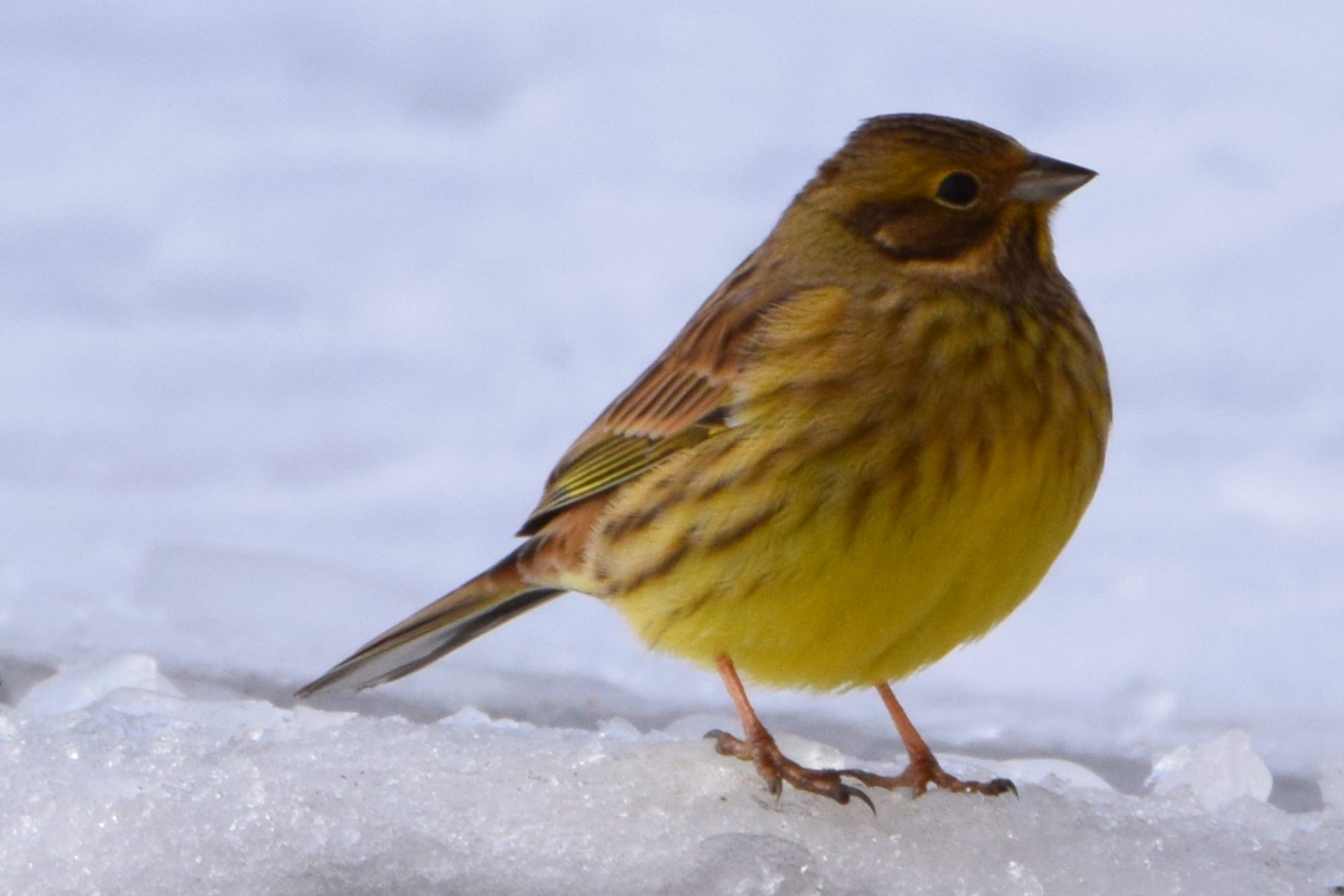 Valokuvaaja: Leena Rissanen