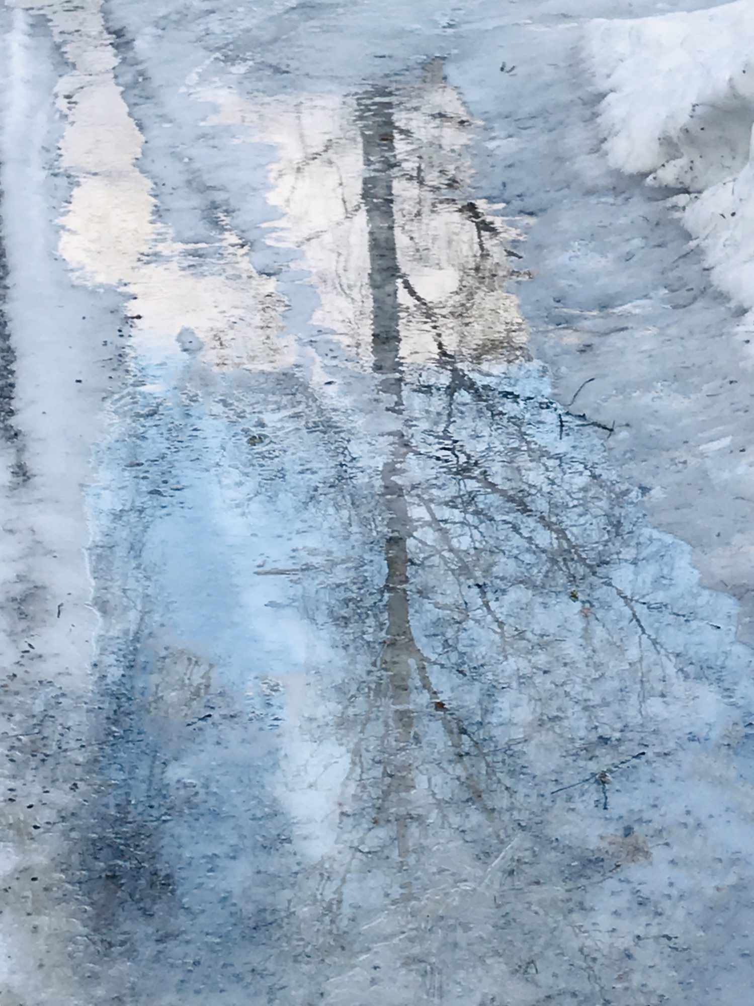 Valokuvaaja: Anne Patana