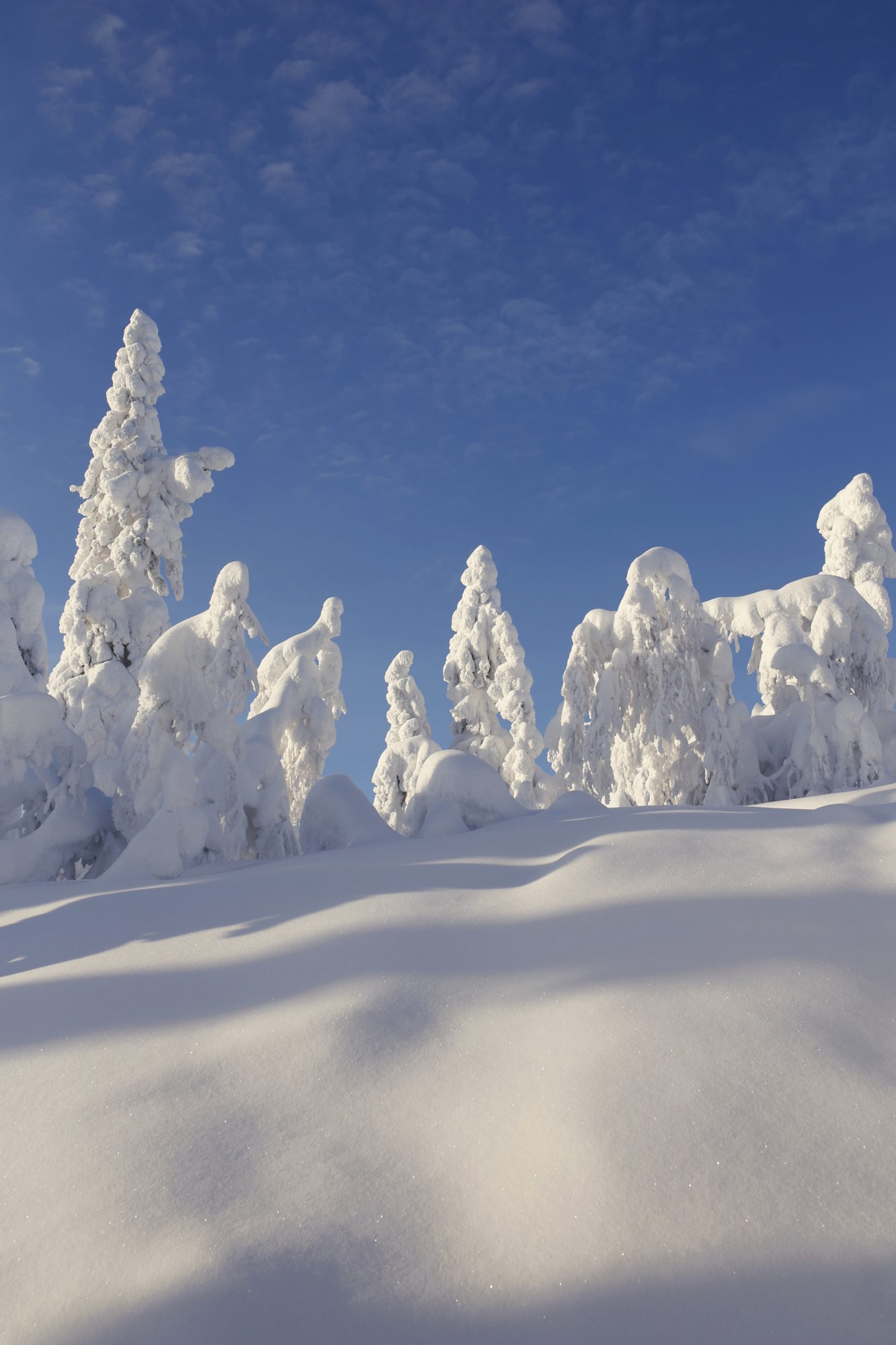Valokuvaaja: Anne Moilanen Valokuvaaja: Anne Moilanen