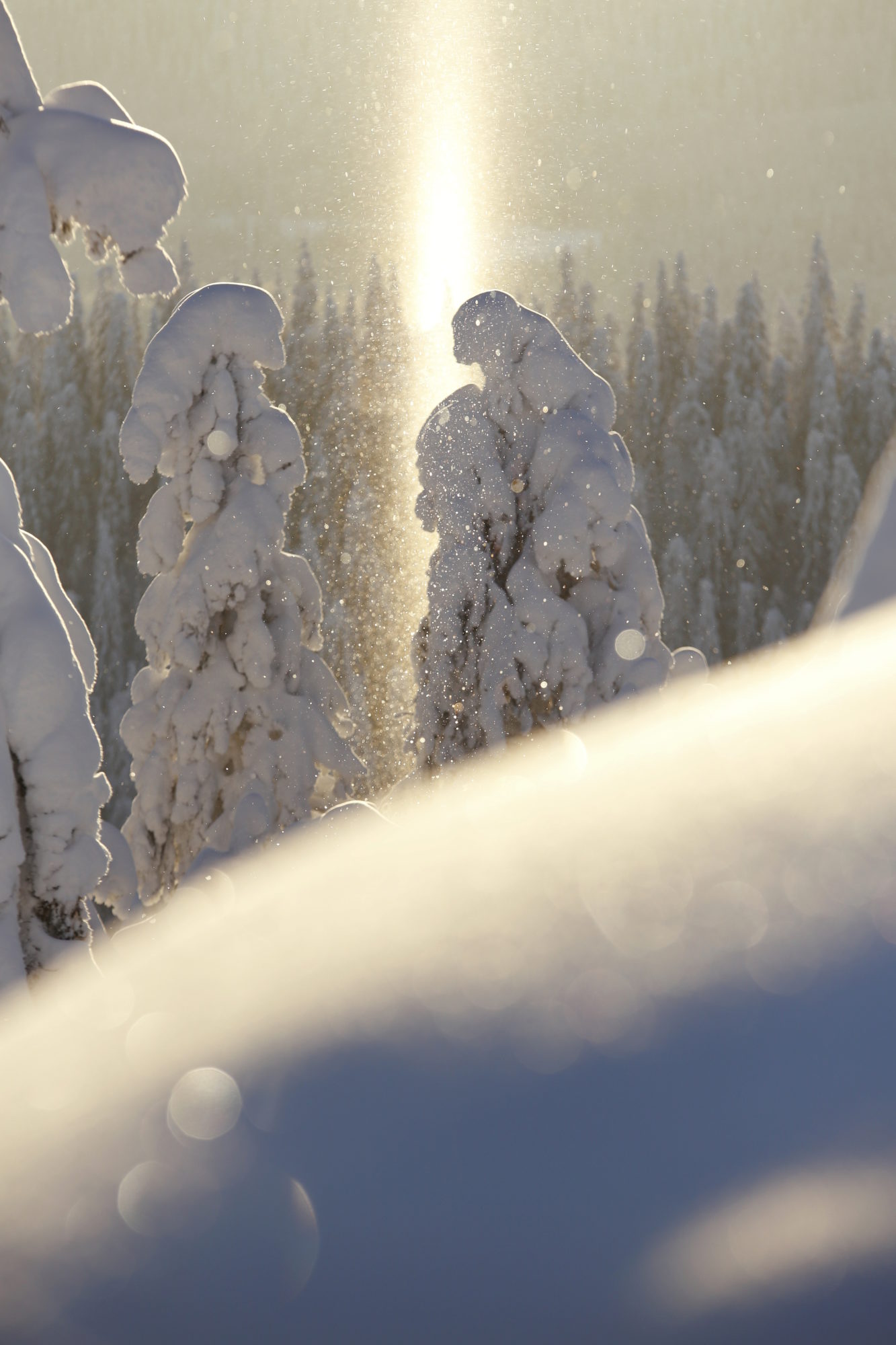 Valokuvaaja: Anne Moilanen Valokuvaaja: Anne Moilanen