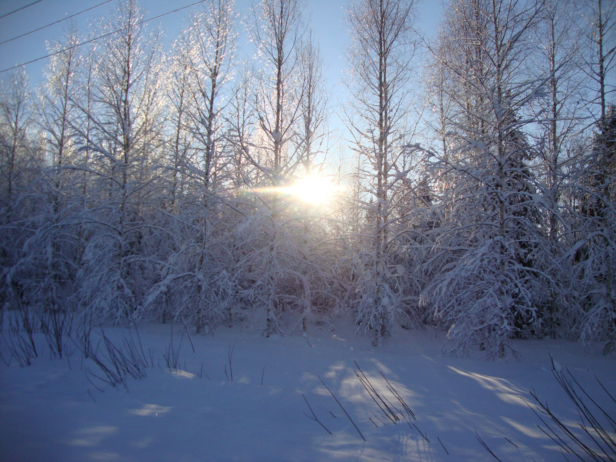 Valokuvaaja: Anja Mustamaa