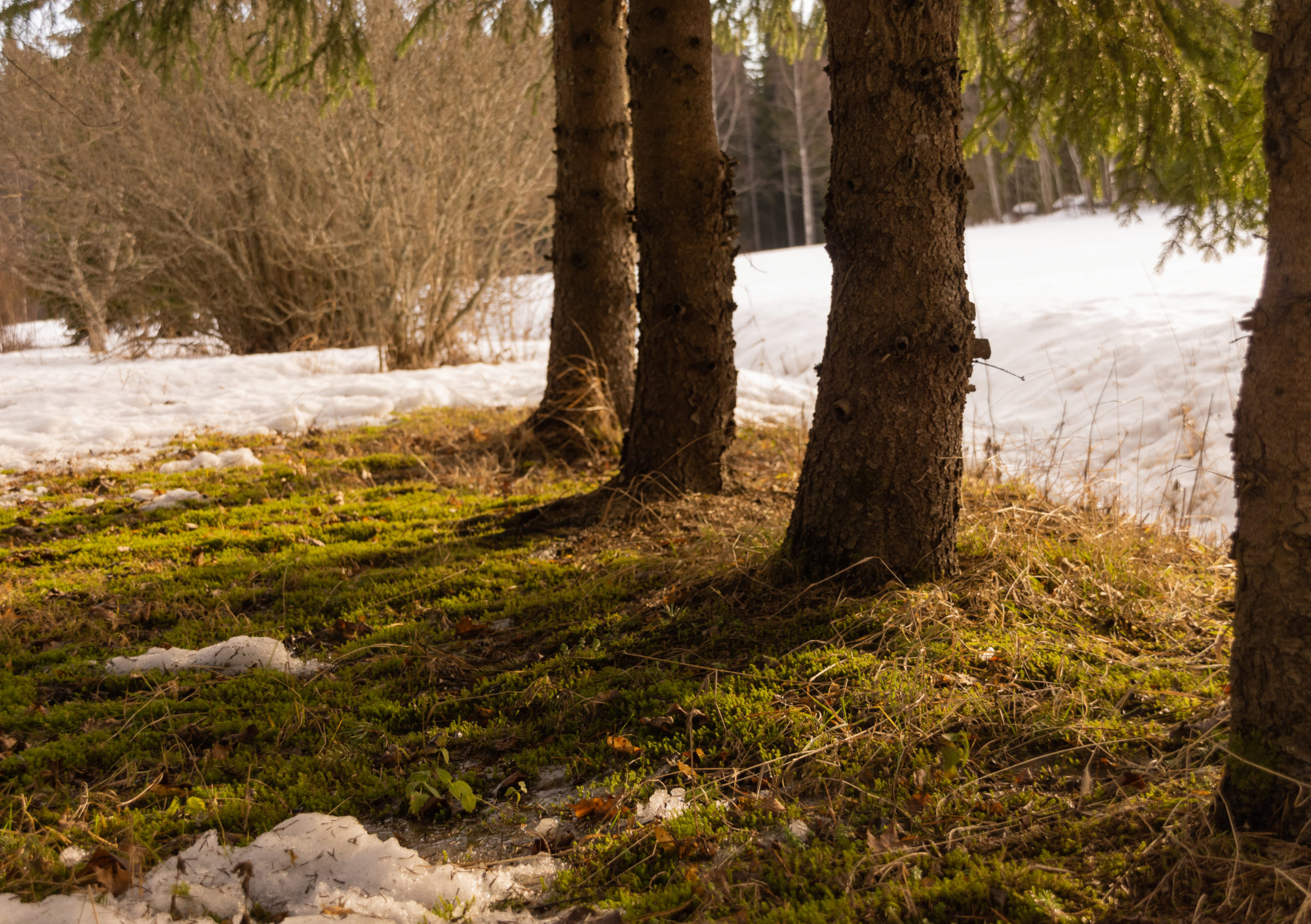 Valokuvaaja: Jenni Heikinniemi