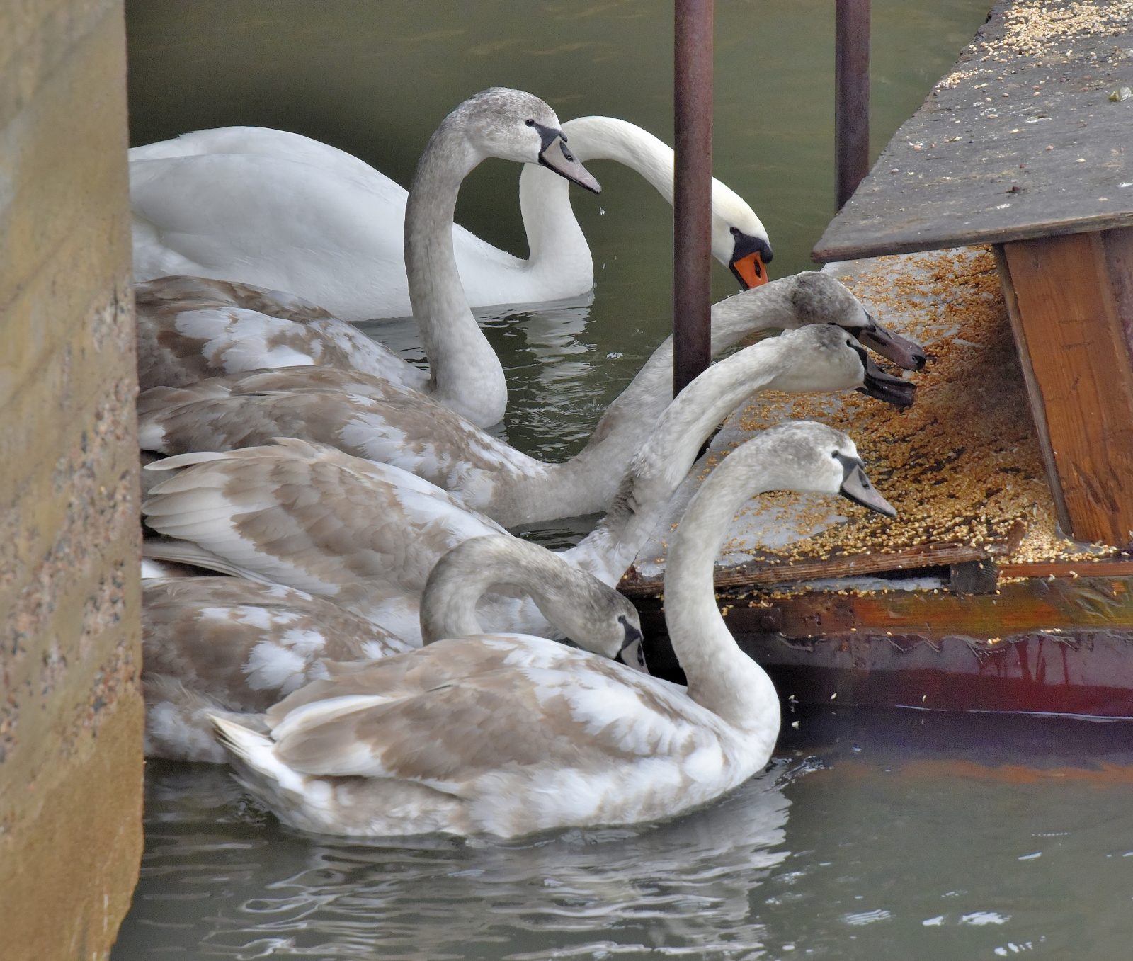 Valokuvaaja: Reijo Juurinen