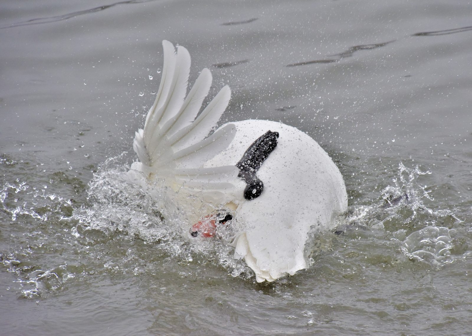 Valokuvaaja: Reijo Juurinen