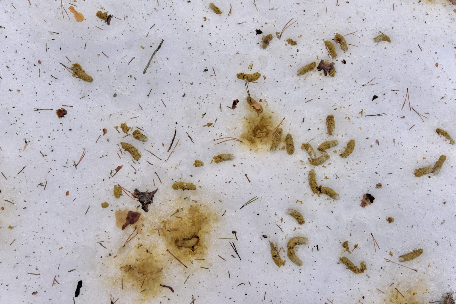 Valokuvaaja: Reijo Juurinen