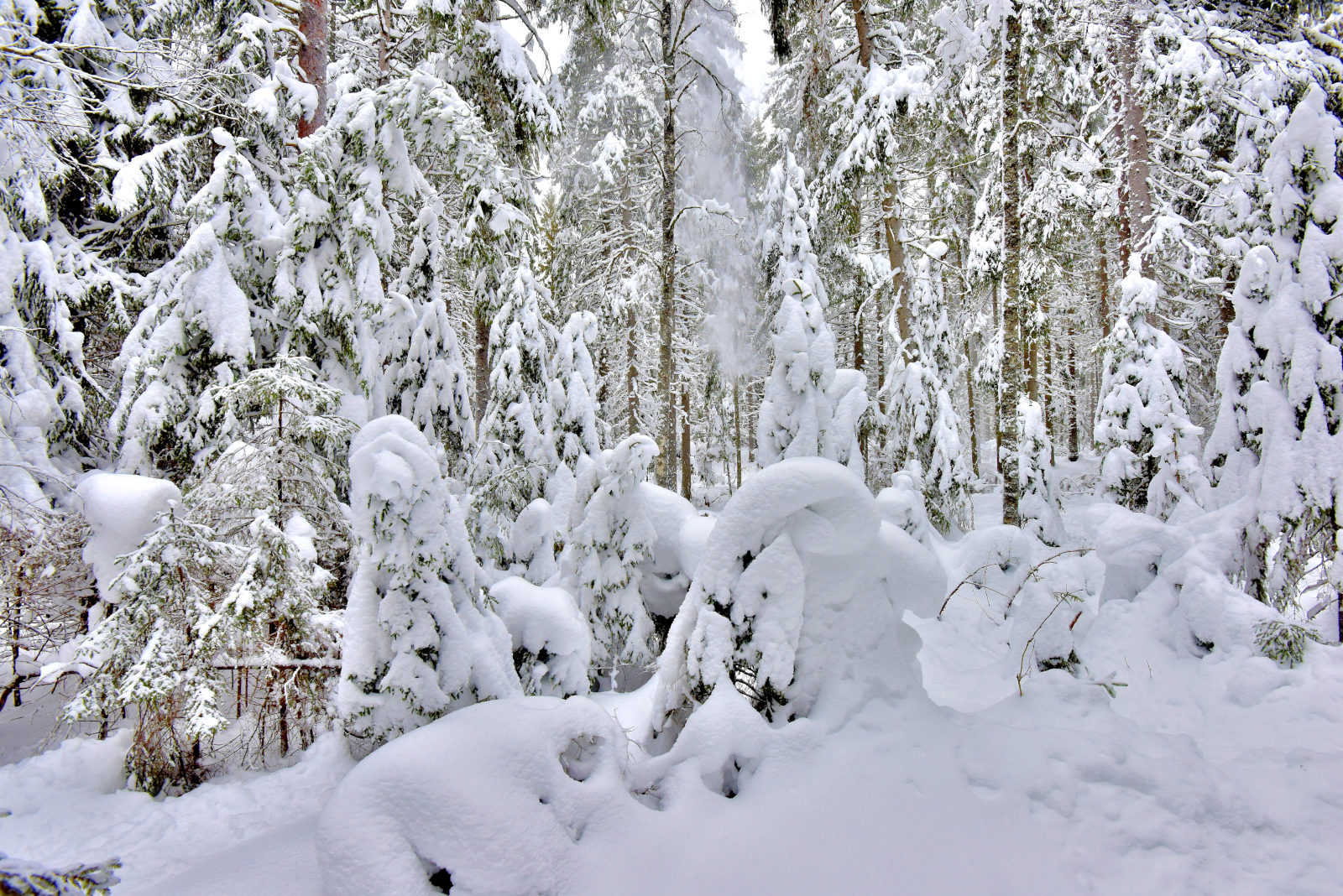 Valokuvaaja: Reijo Juurinen
