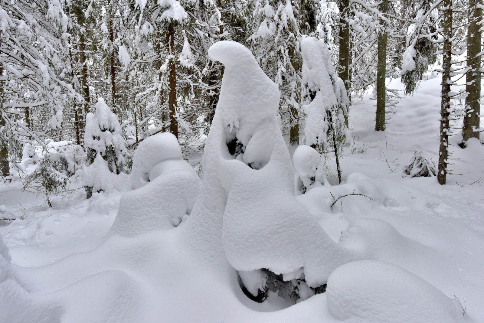 Valokuvaaja: Reijo Juurinen
