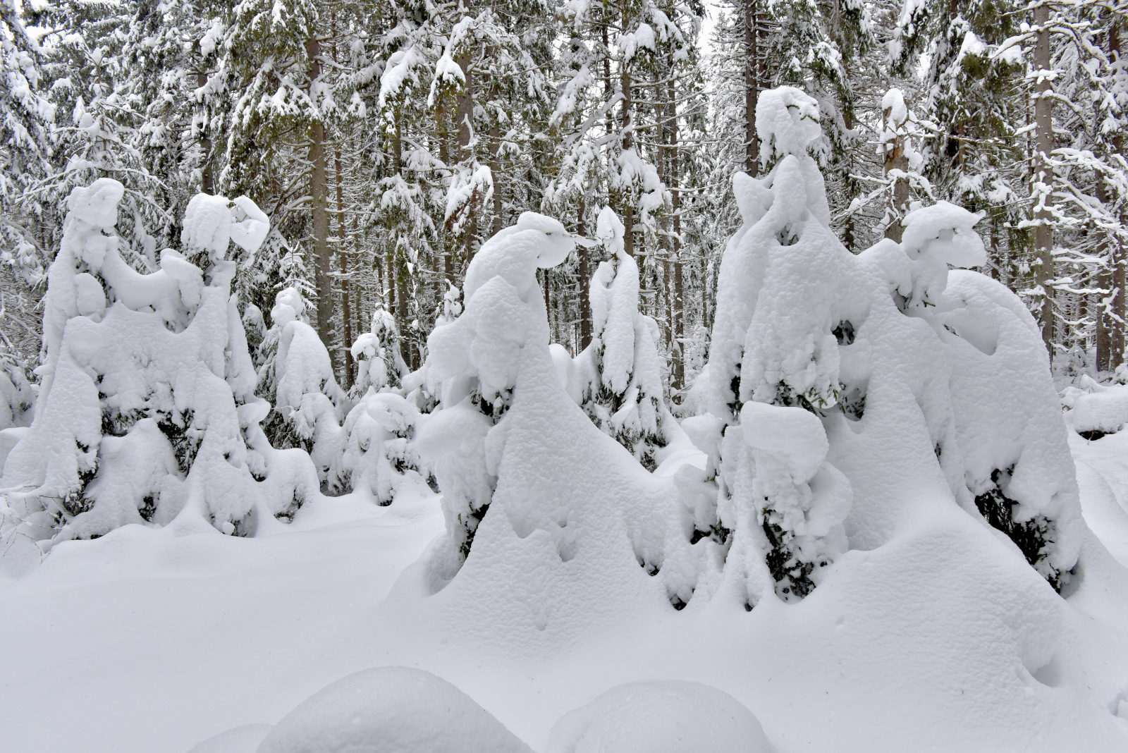 Valokuvaaja: Reijo Juurinen