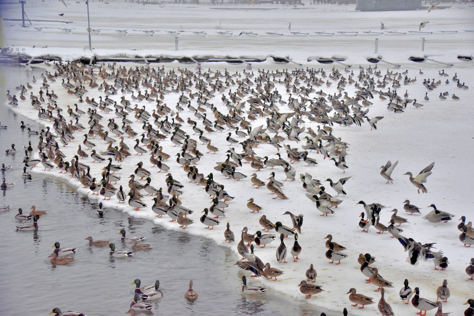 Valokuvaaja: Reijo Juurinen