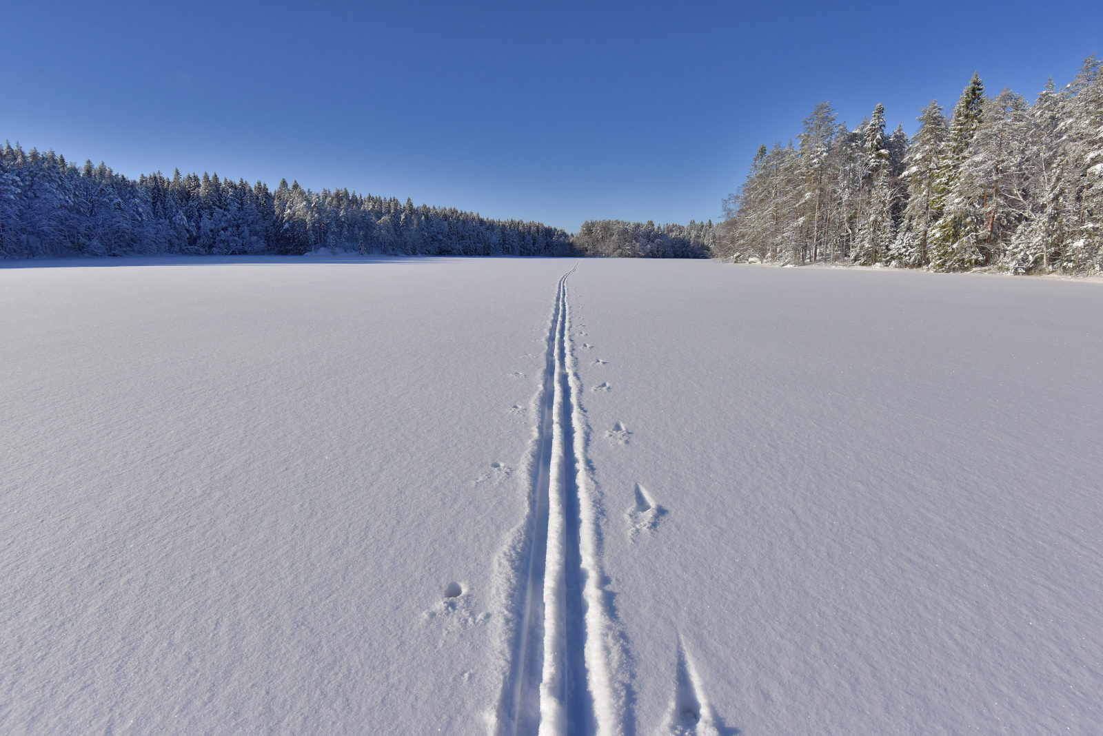 Valokuvaaja: Reijo Juurinen Valokuvaaja: Reijo Juurinen