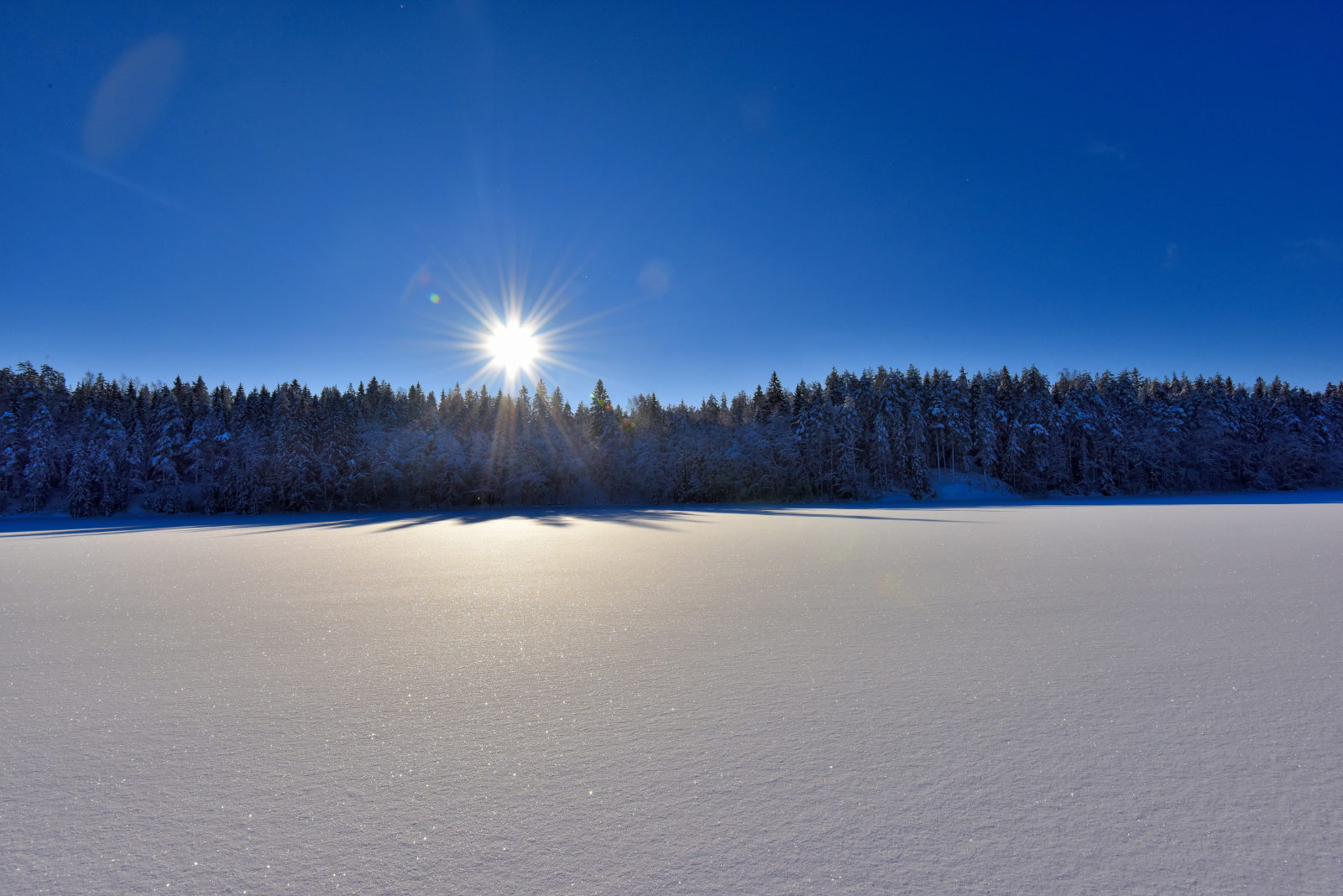 Valokuvaaja: Reijo Juurinen