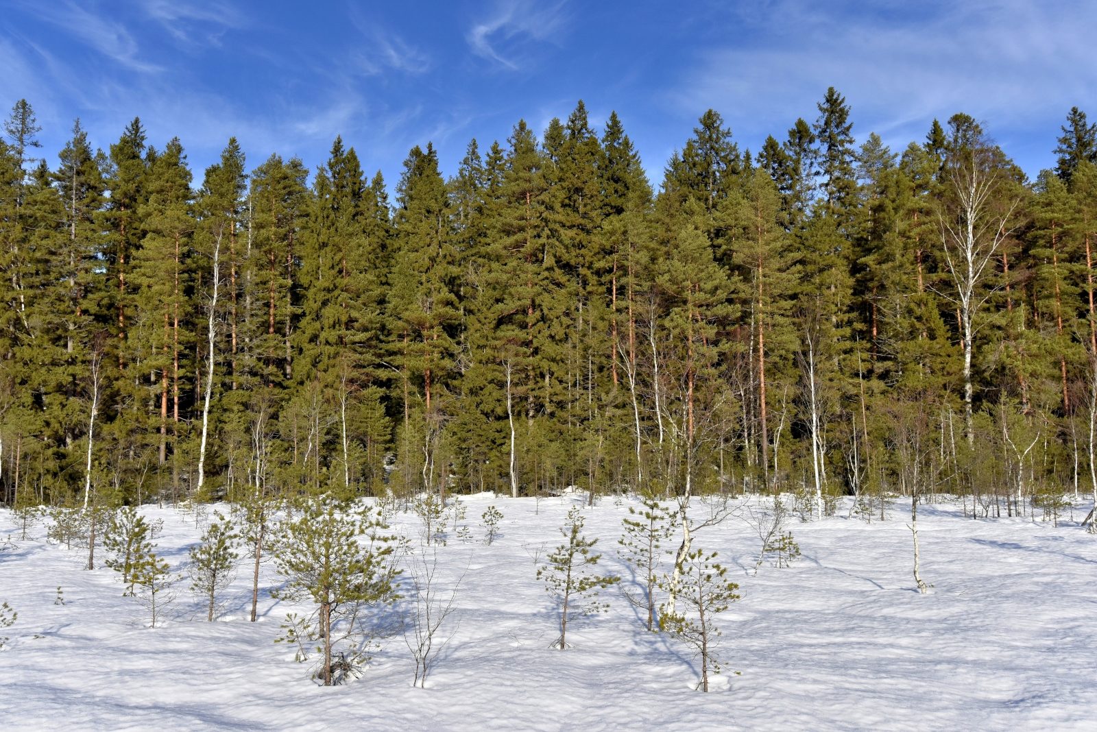 Valokuvaaja: Reijo Juurinen