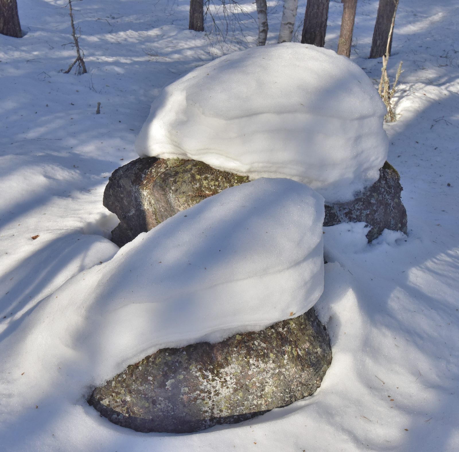 Valokuvaaja: Reijo Juurinen