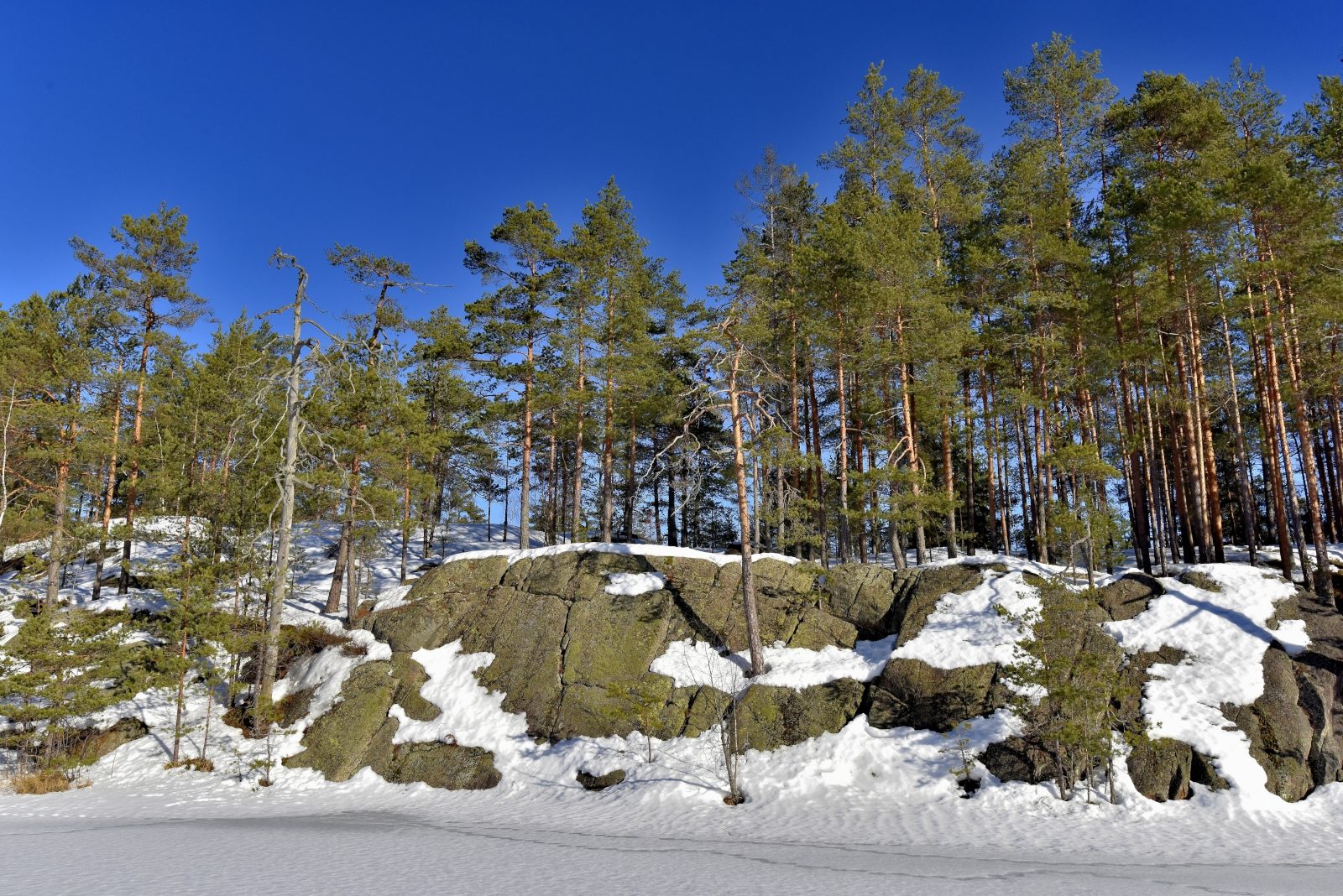 Valokuvaaja: Reijo Juurinen