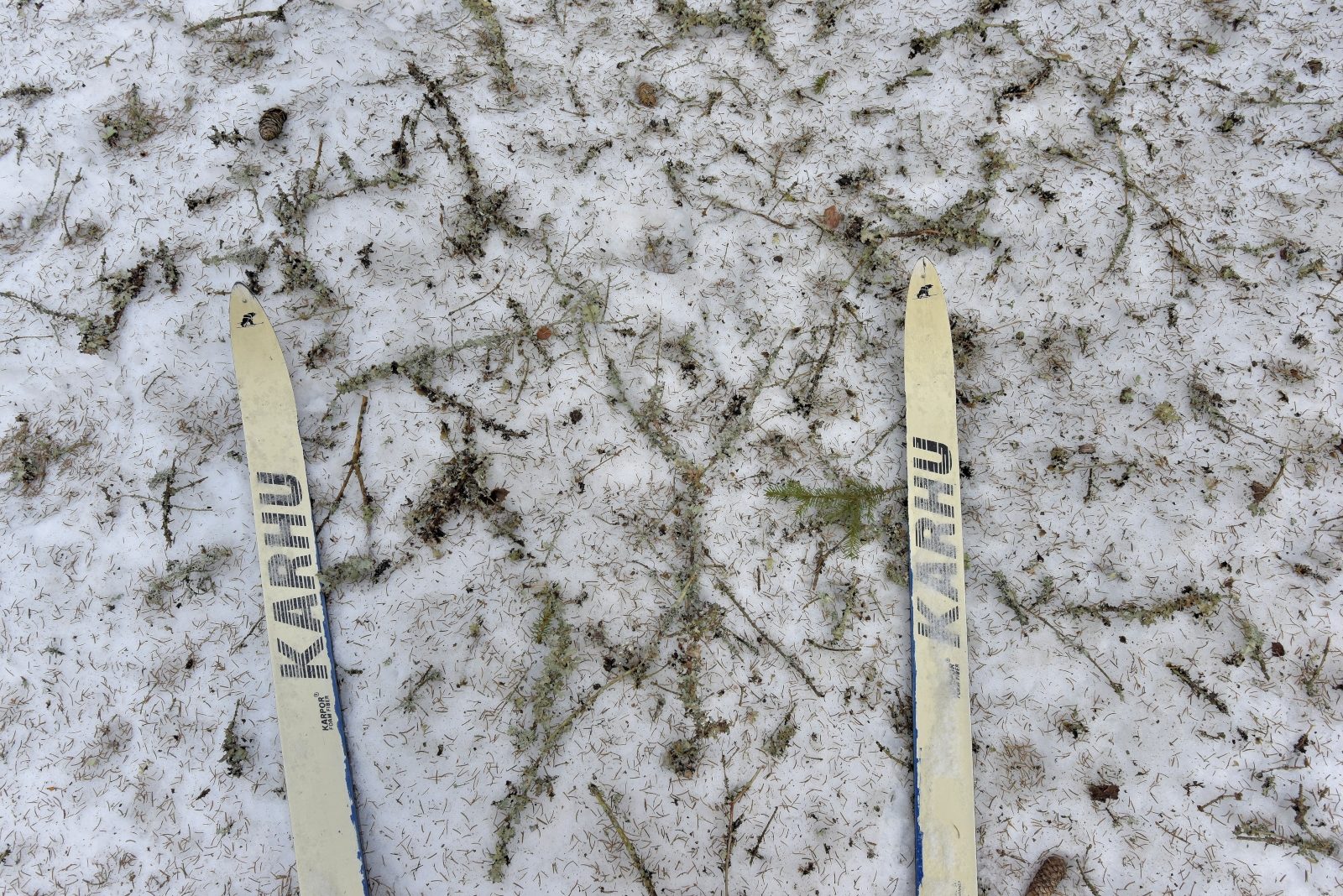 Valokuvaaja: Reijo Juurinen