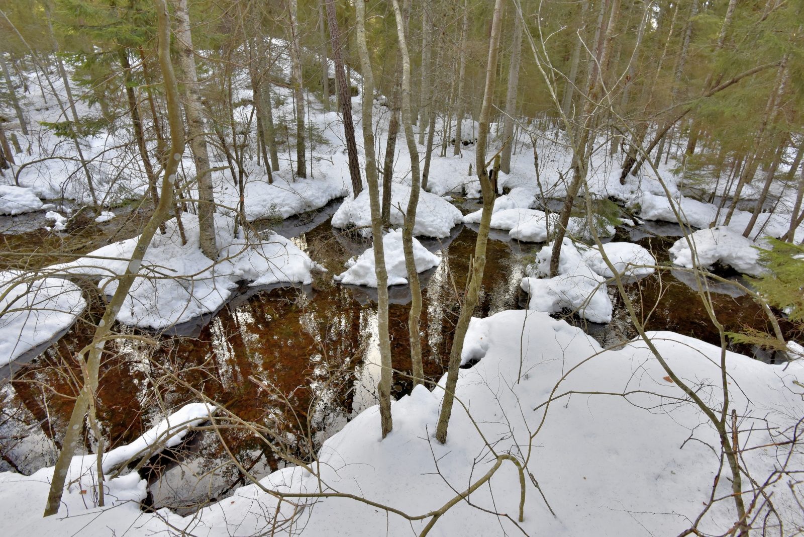 Valokuvaaja: Reijo Juurinen
