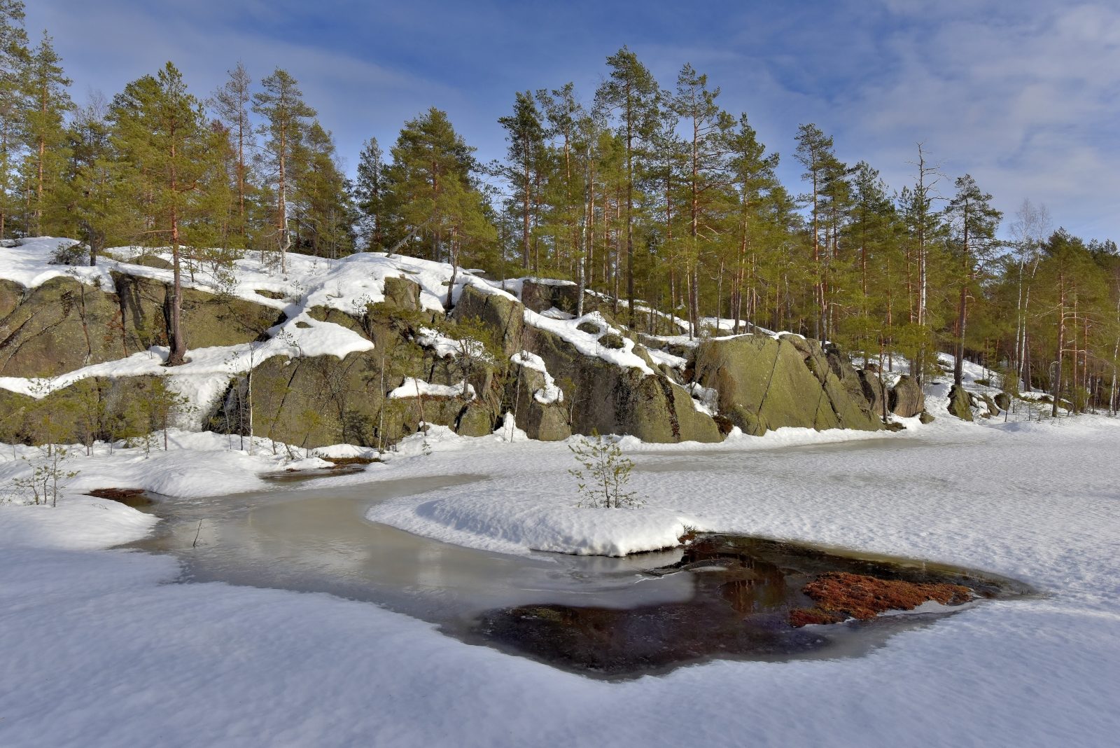 Valokuvaaja: Reijo Juurinen