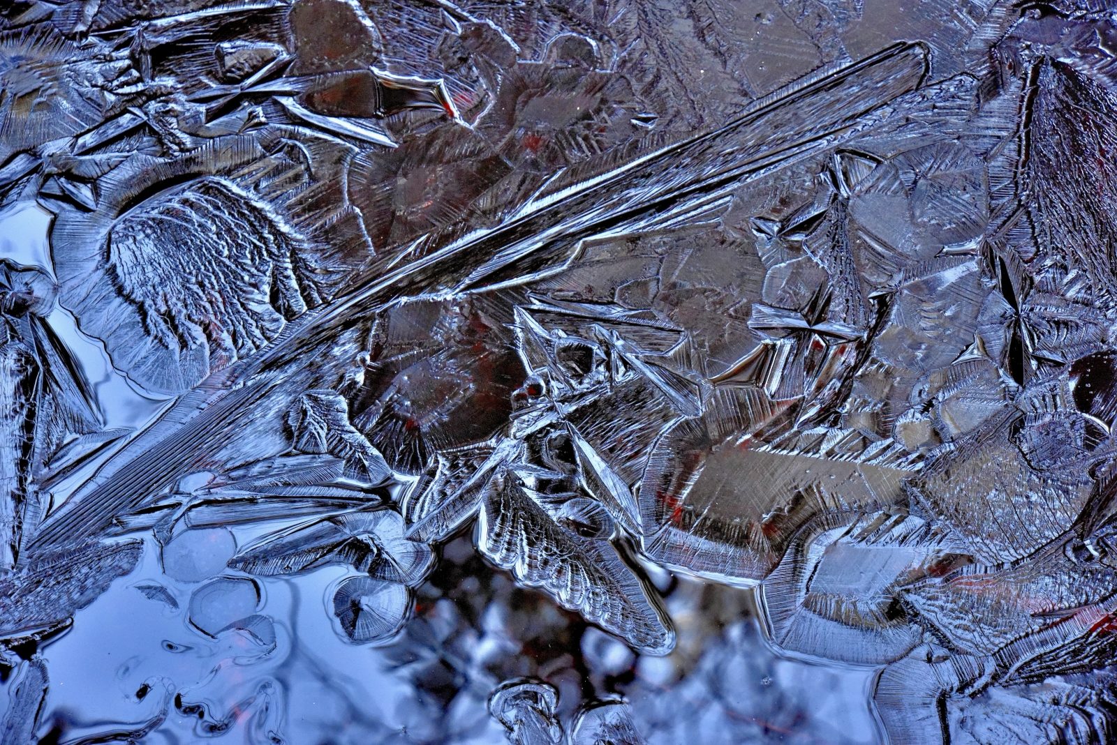 Valokuvaaja: Reijo Juurinen