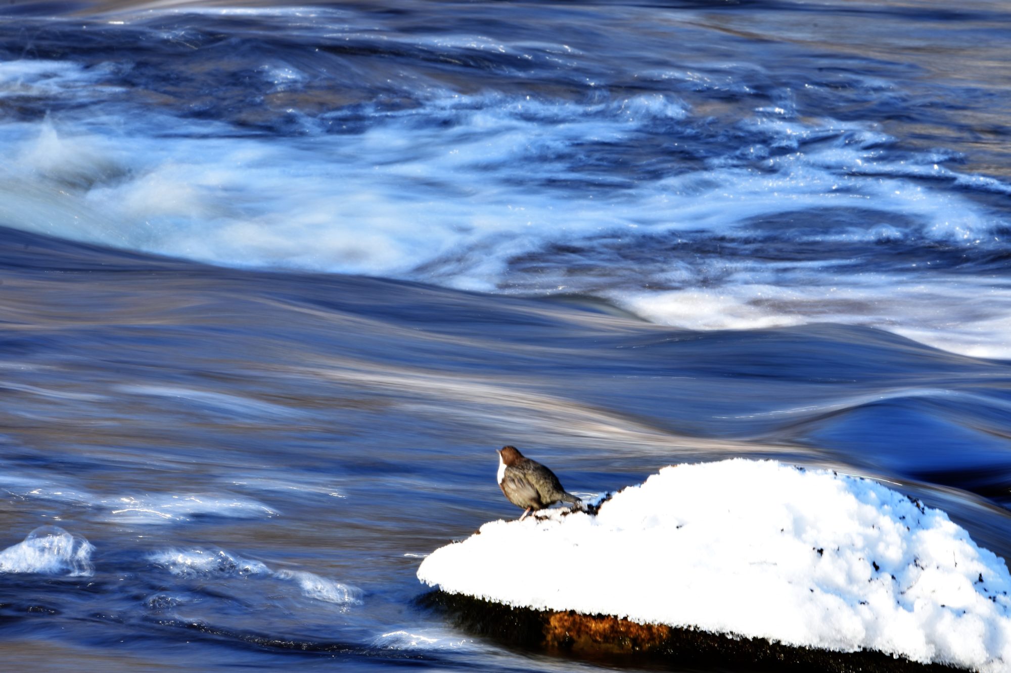 Valokuvaaja: Leena Latvala Valokuvaaja: Leena Latvala