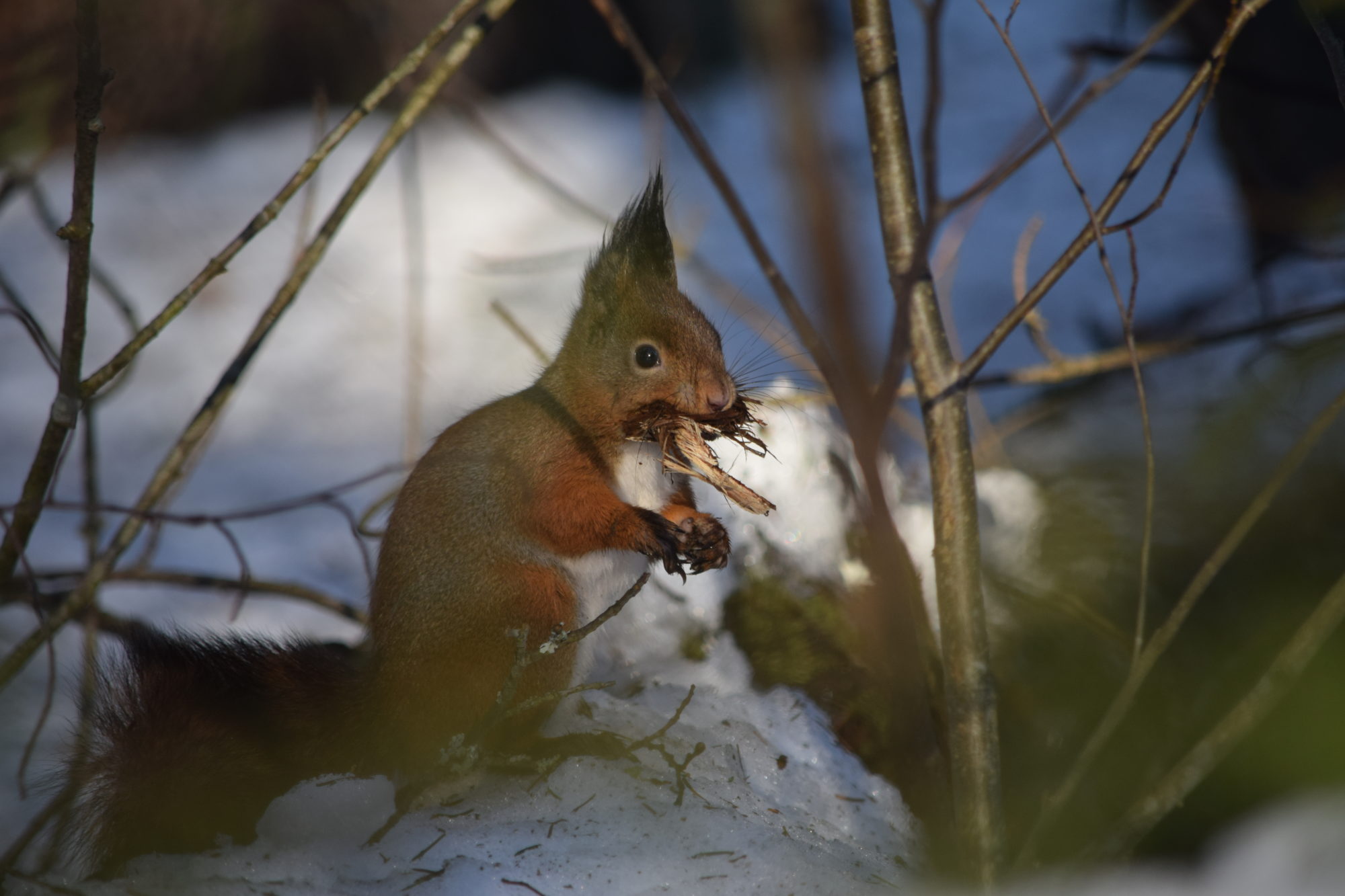 Valokuvaaja: Riitta Marjamäki