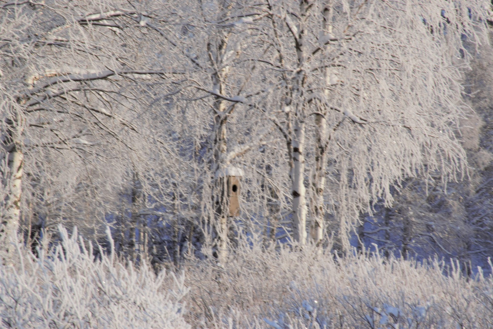 Valokuvaaja: Leena Rissanen