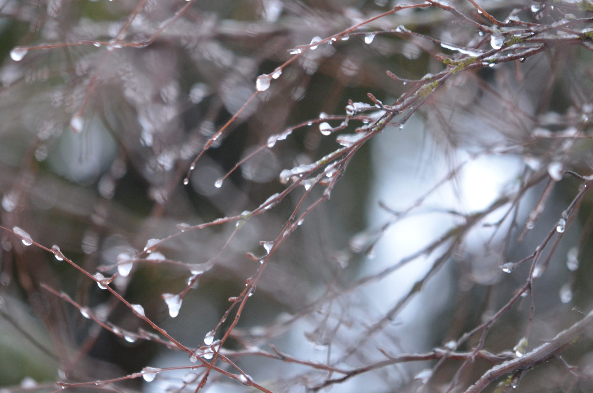 Valokuvaaja: Kaarlo Asikainen
