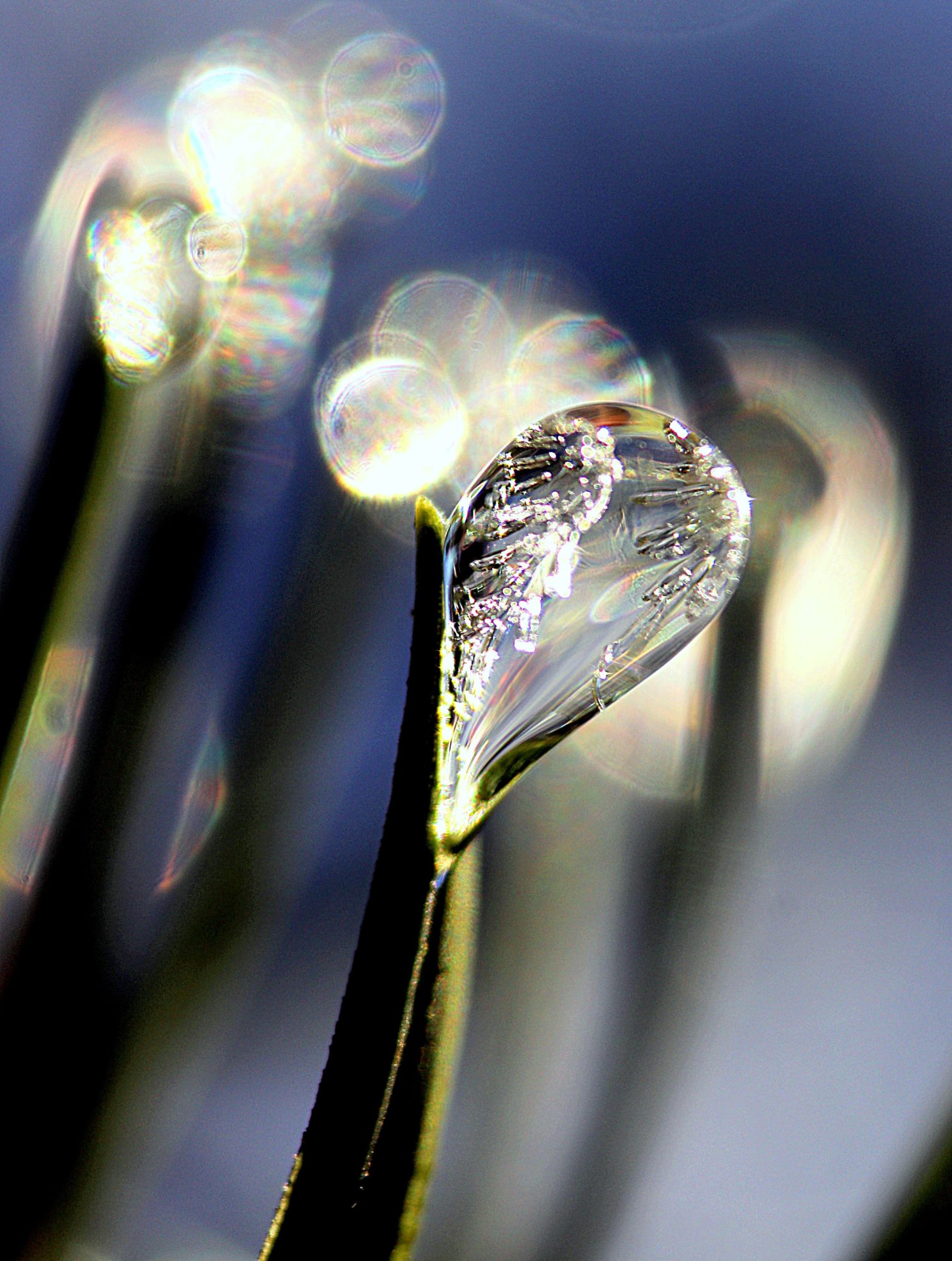 Valokuvaaja: Irja Lehtinen