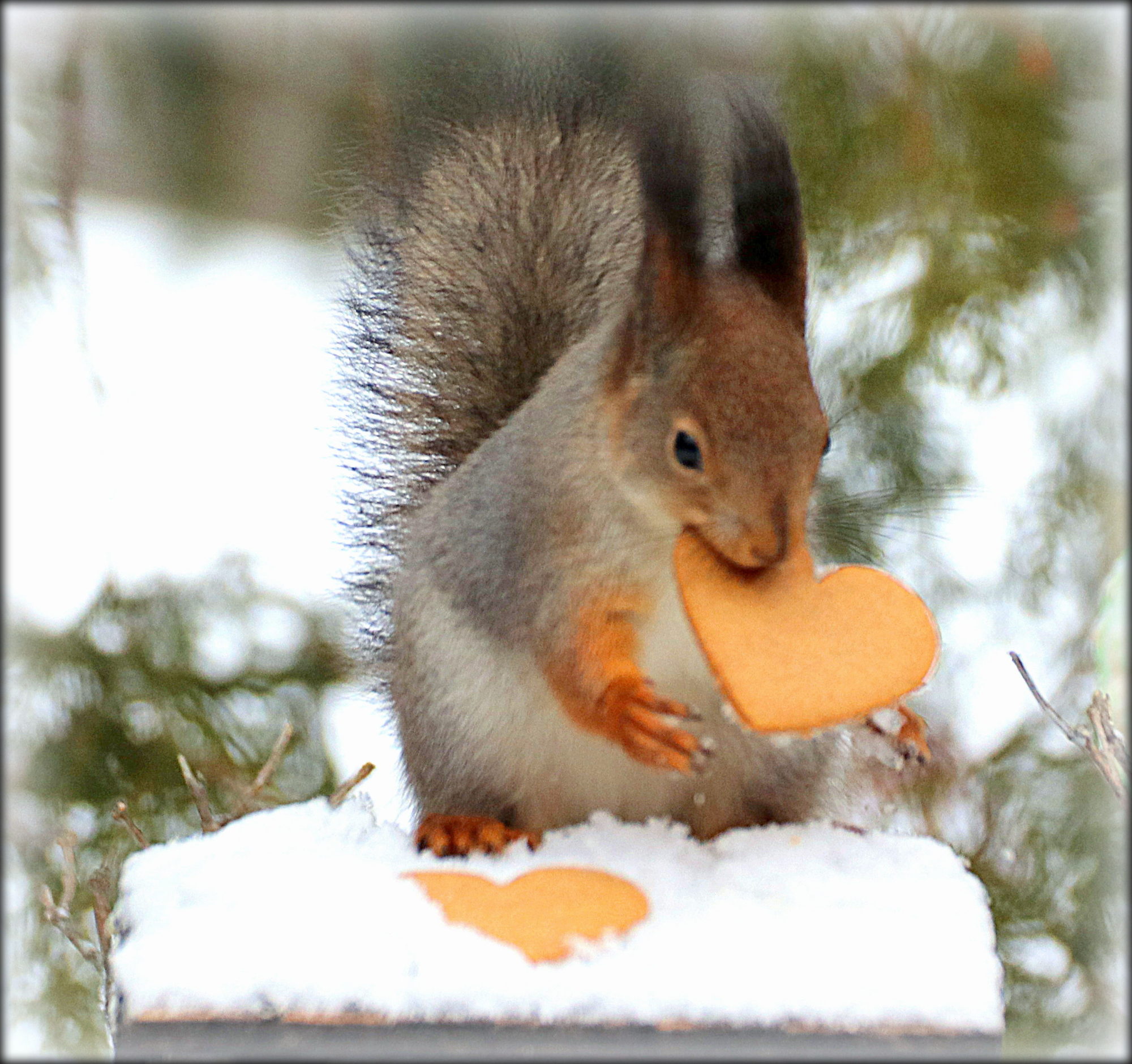 Valokuvaaja: Irja Lehtinen