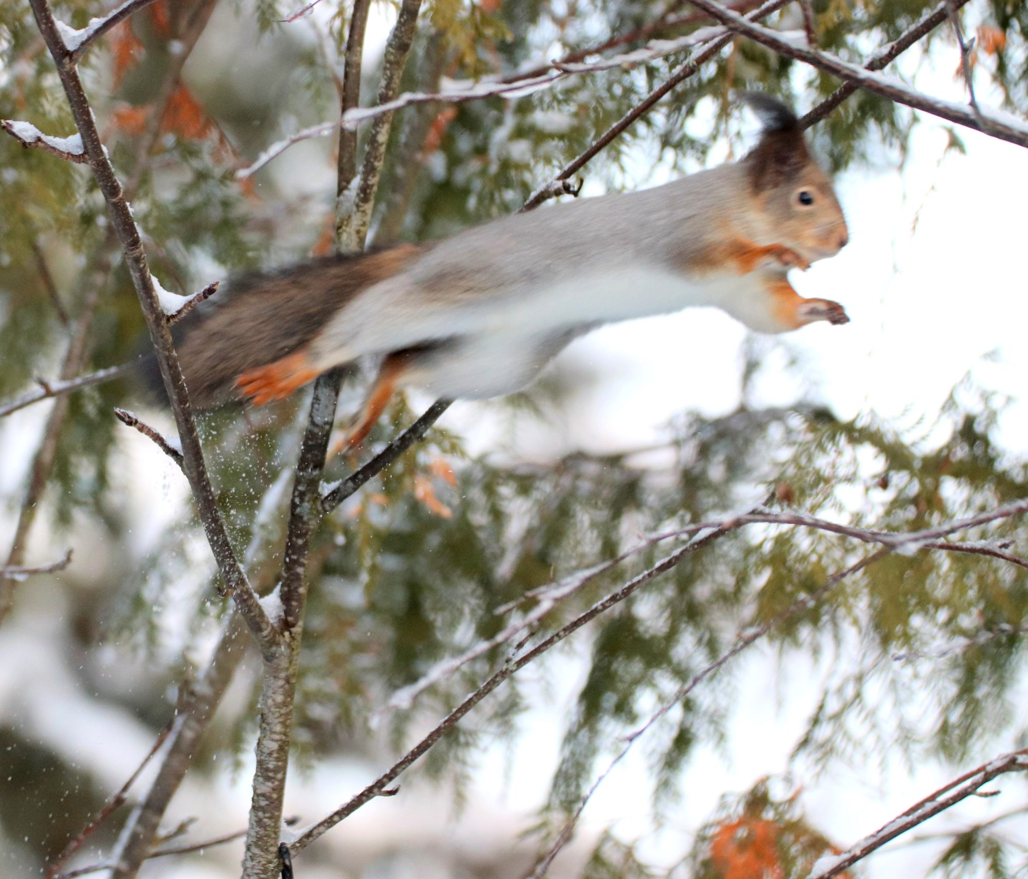 Valokuvaaja: Irja Lehtinen