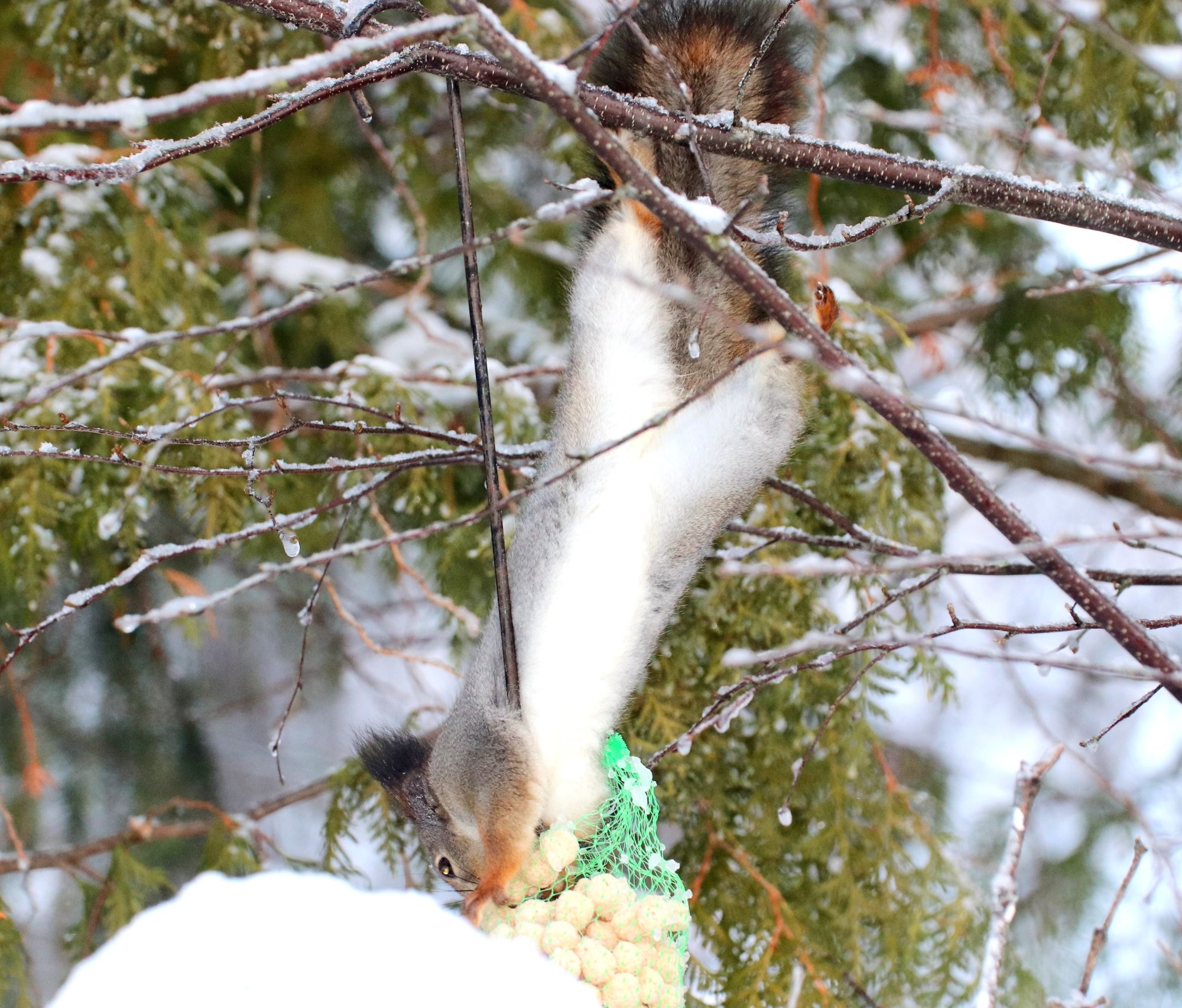 Valokuvaaja: Irja Lehtinen
