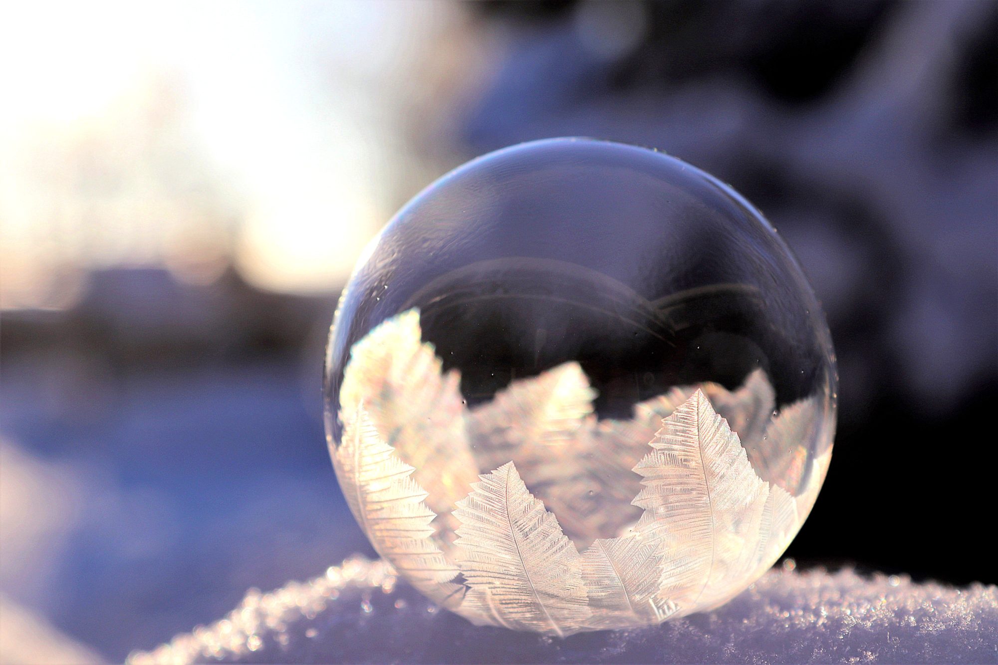 Valokuvaaja: Irja Lehtinen