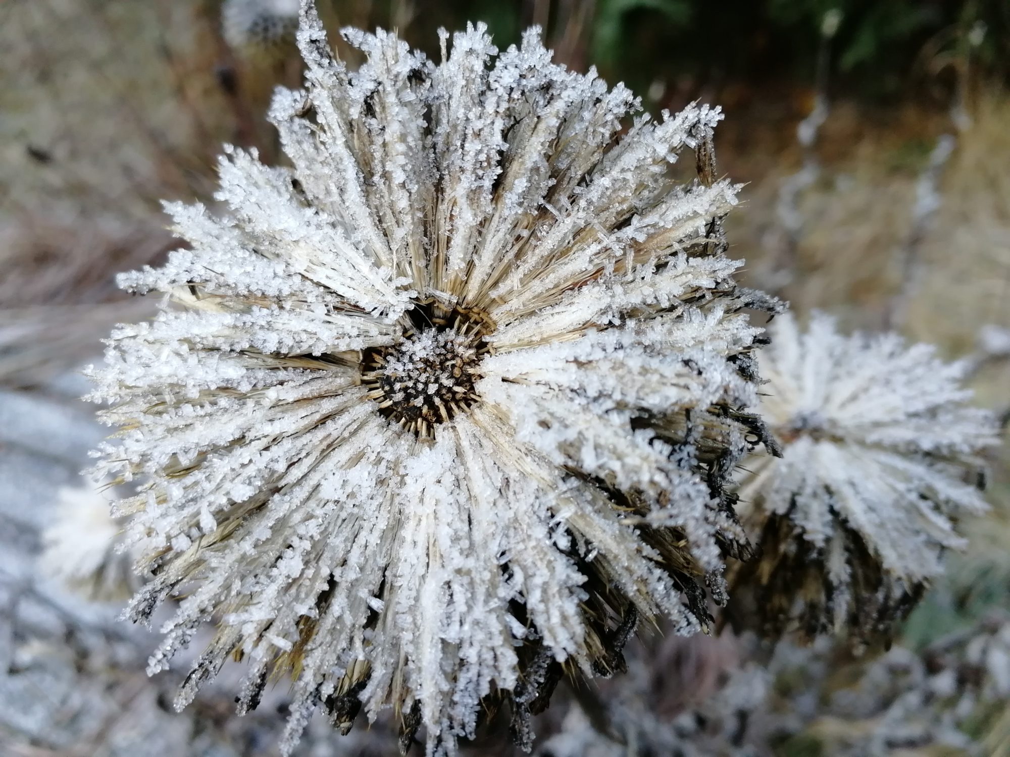 Valokuvaaja: Minna Korhonen
