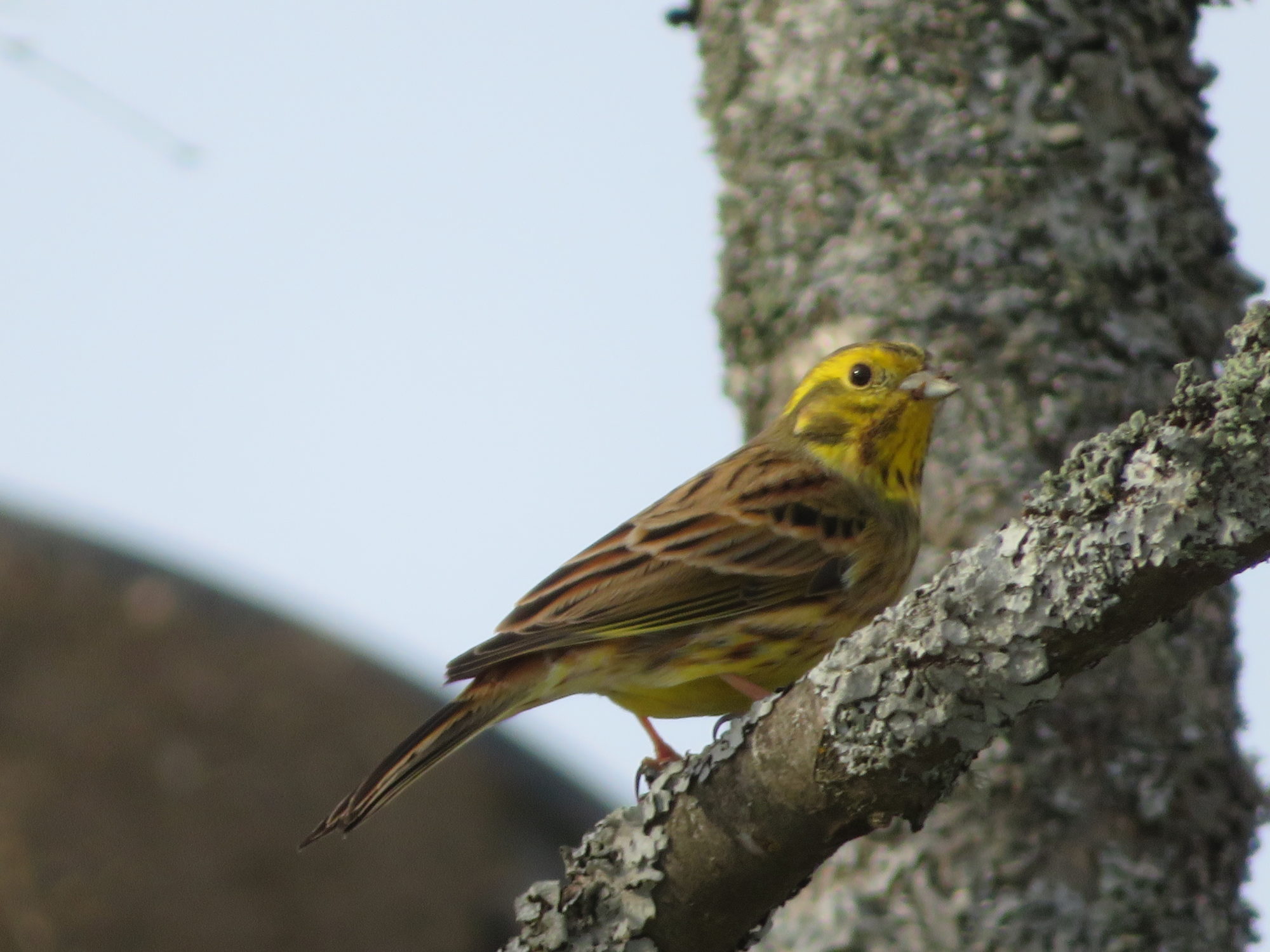 Valokuvaaja: Risto Kangassalo
