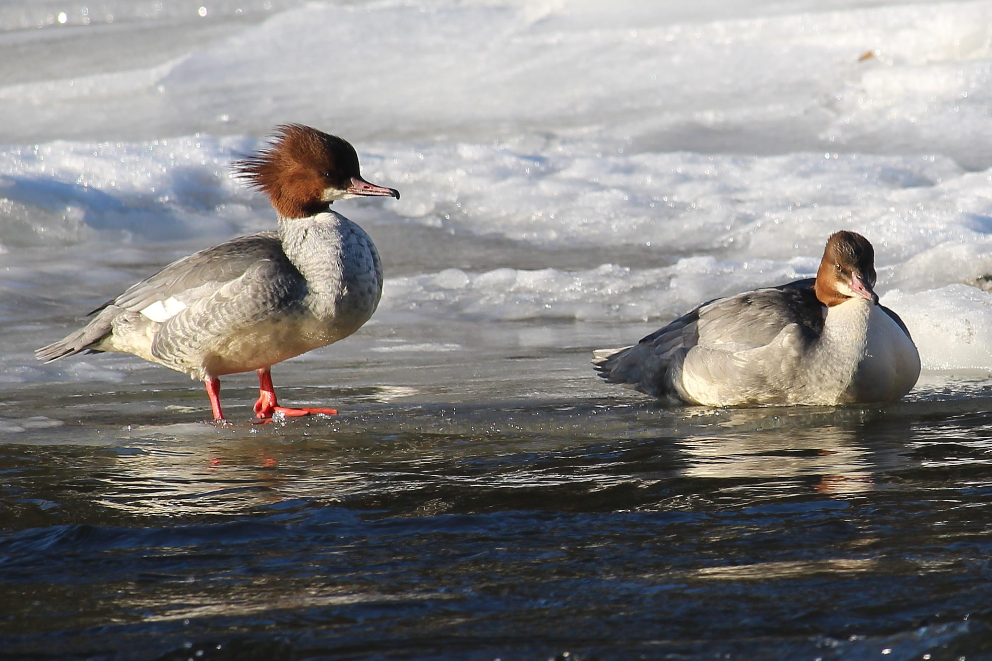 Valokuvaaja: Kirsi-Marja Joenpolvi