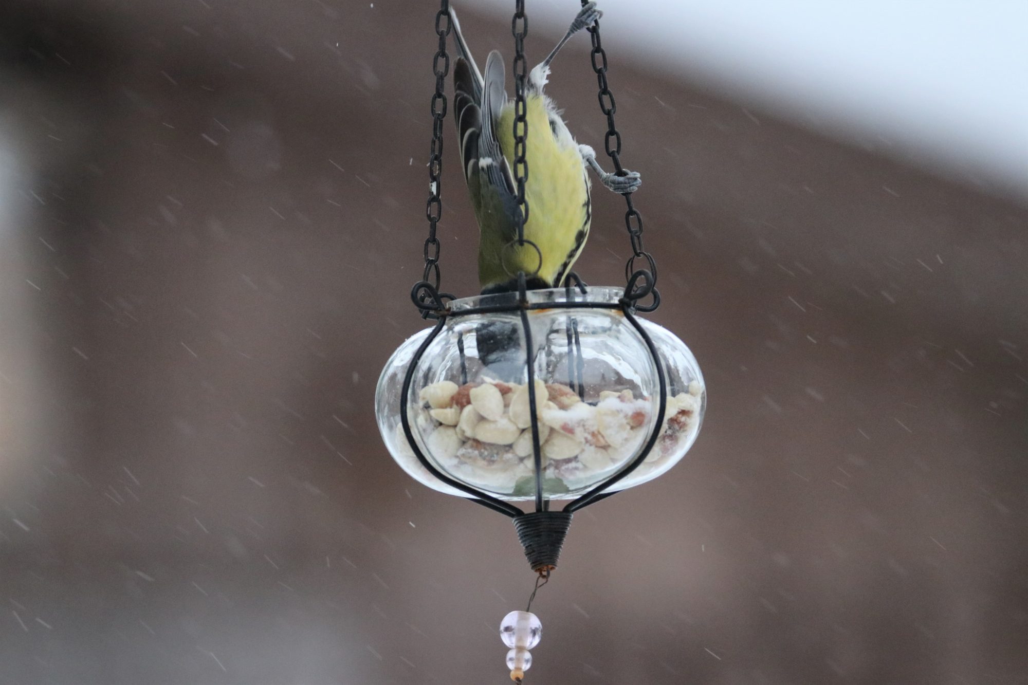 Valokuvaaja: Jaana Helena Saarela