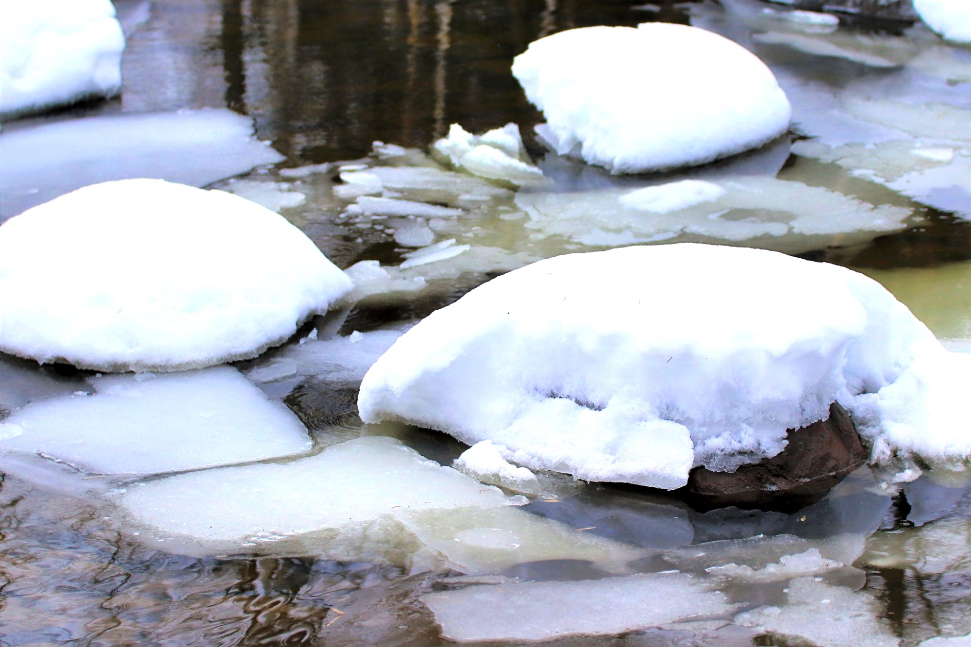 Valokuvaaja: Irja Lehtinen