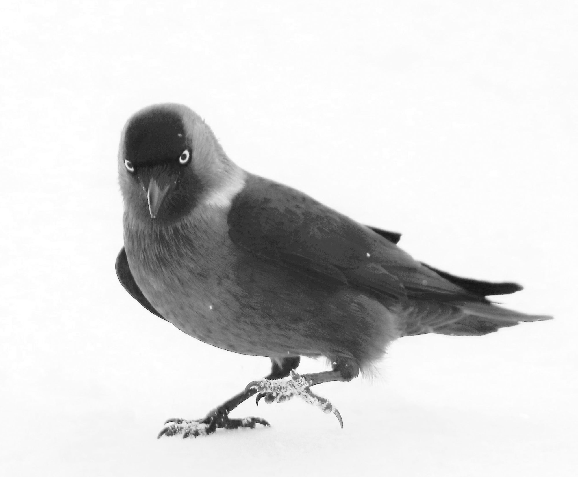 Valokuvaaja: Irja Lehtinen