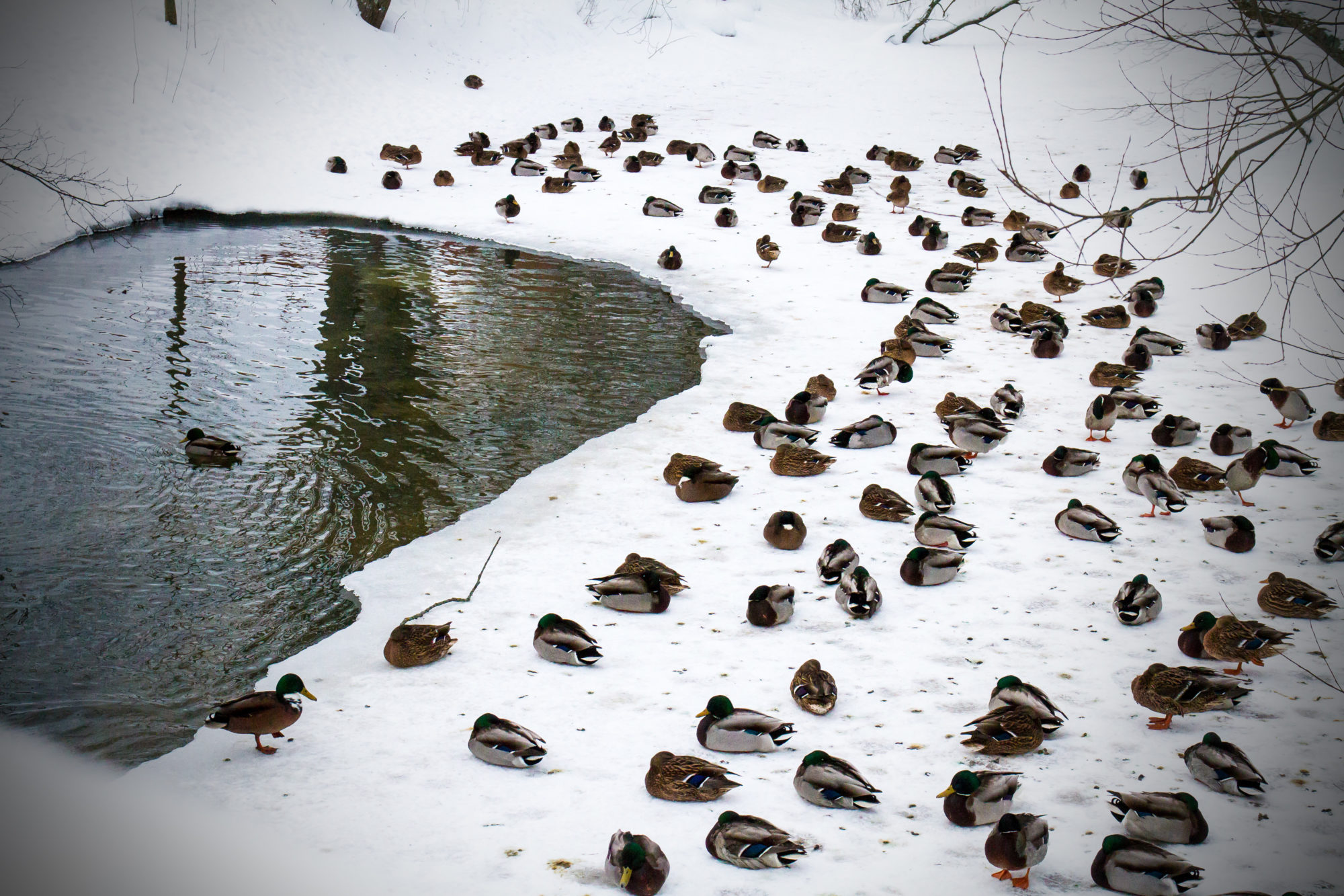 Valokuvaaja: Heikki Heinonen