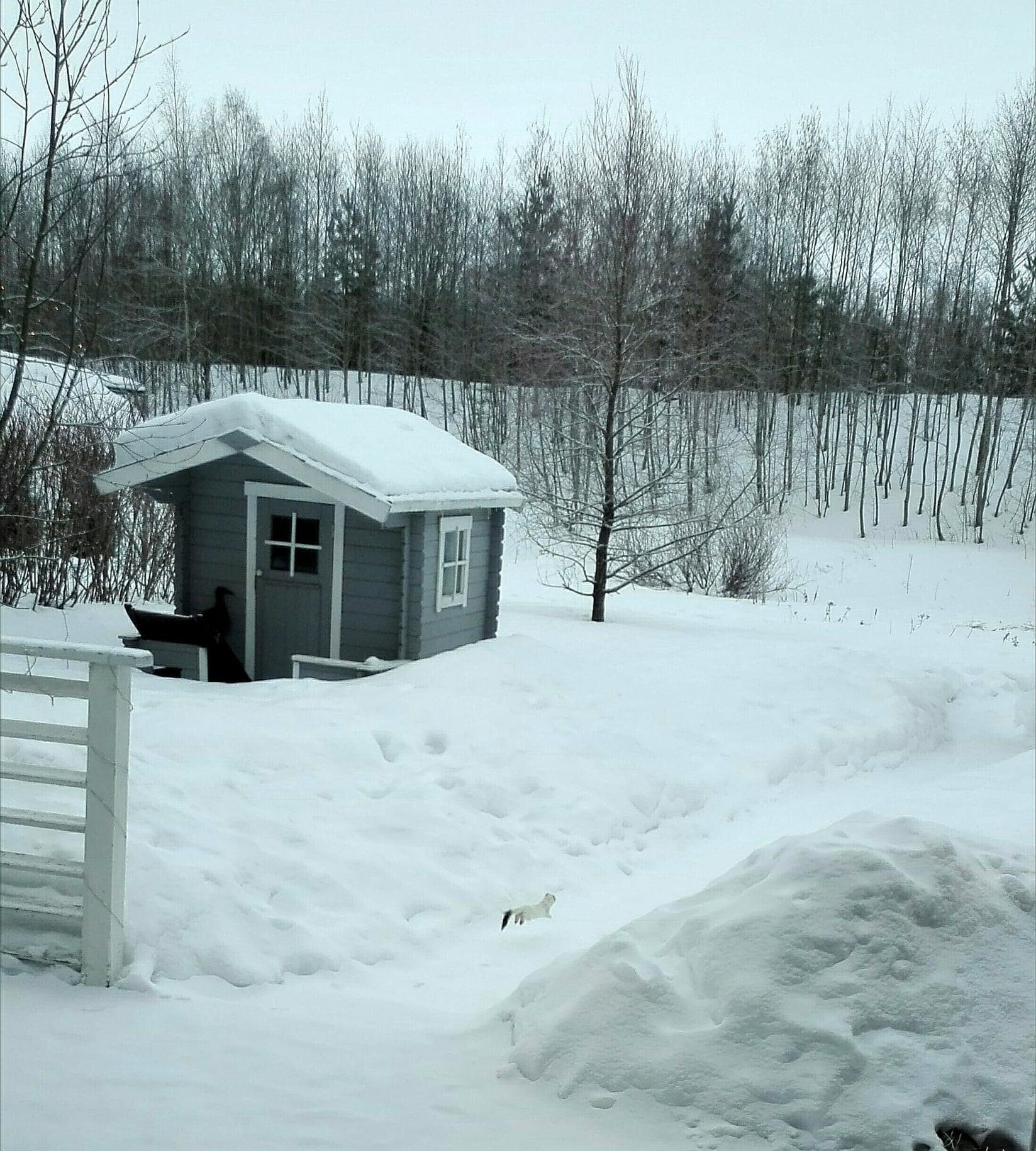 Valokuvaaja: Elisa af Hällström