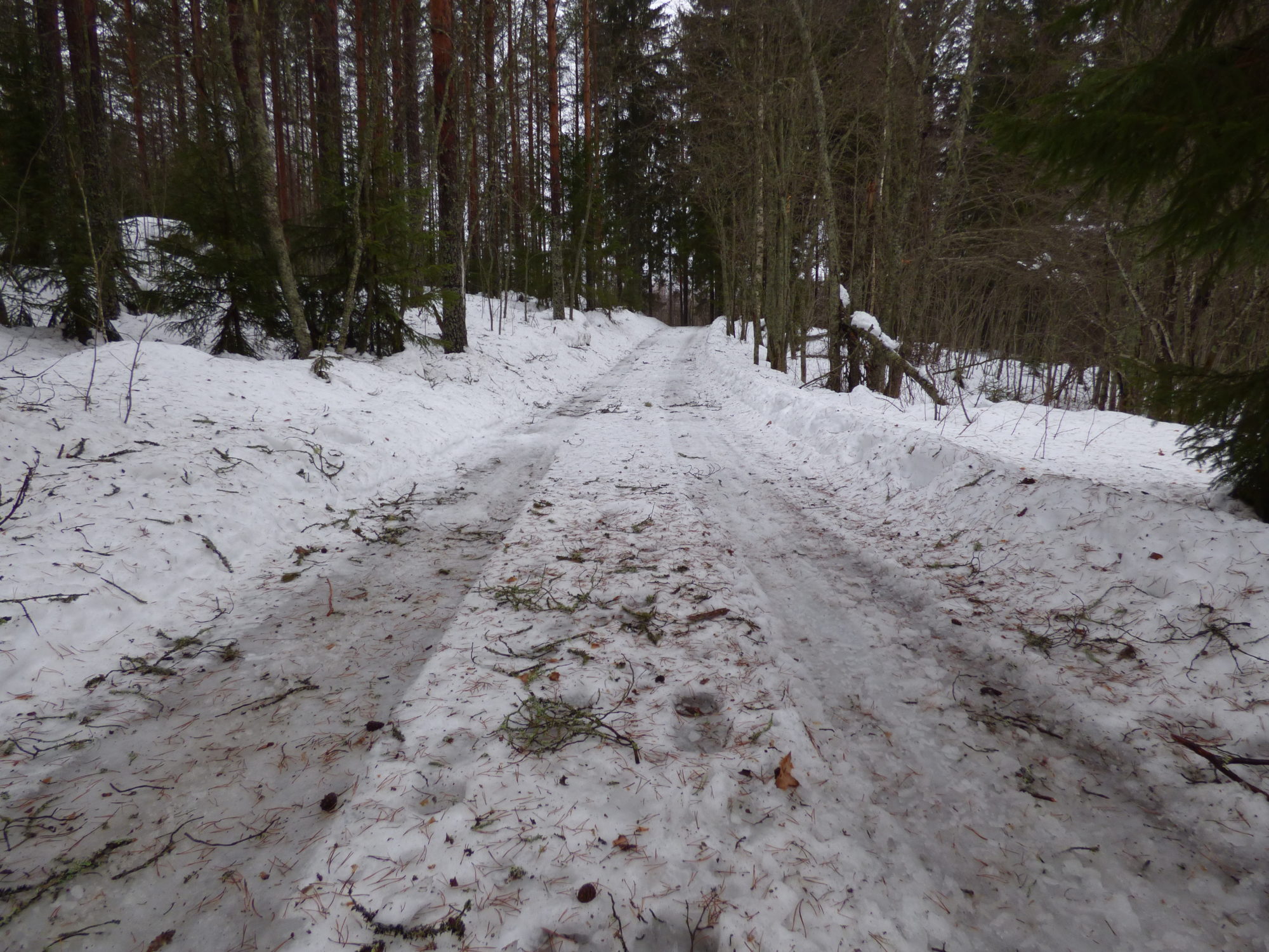 Valokuvaaja: Hannu Rissanen