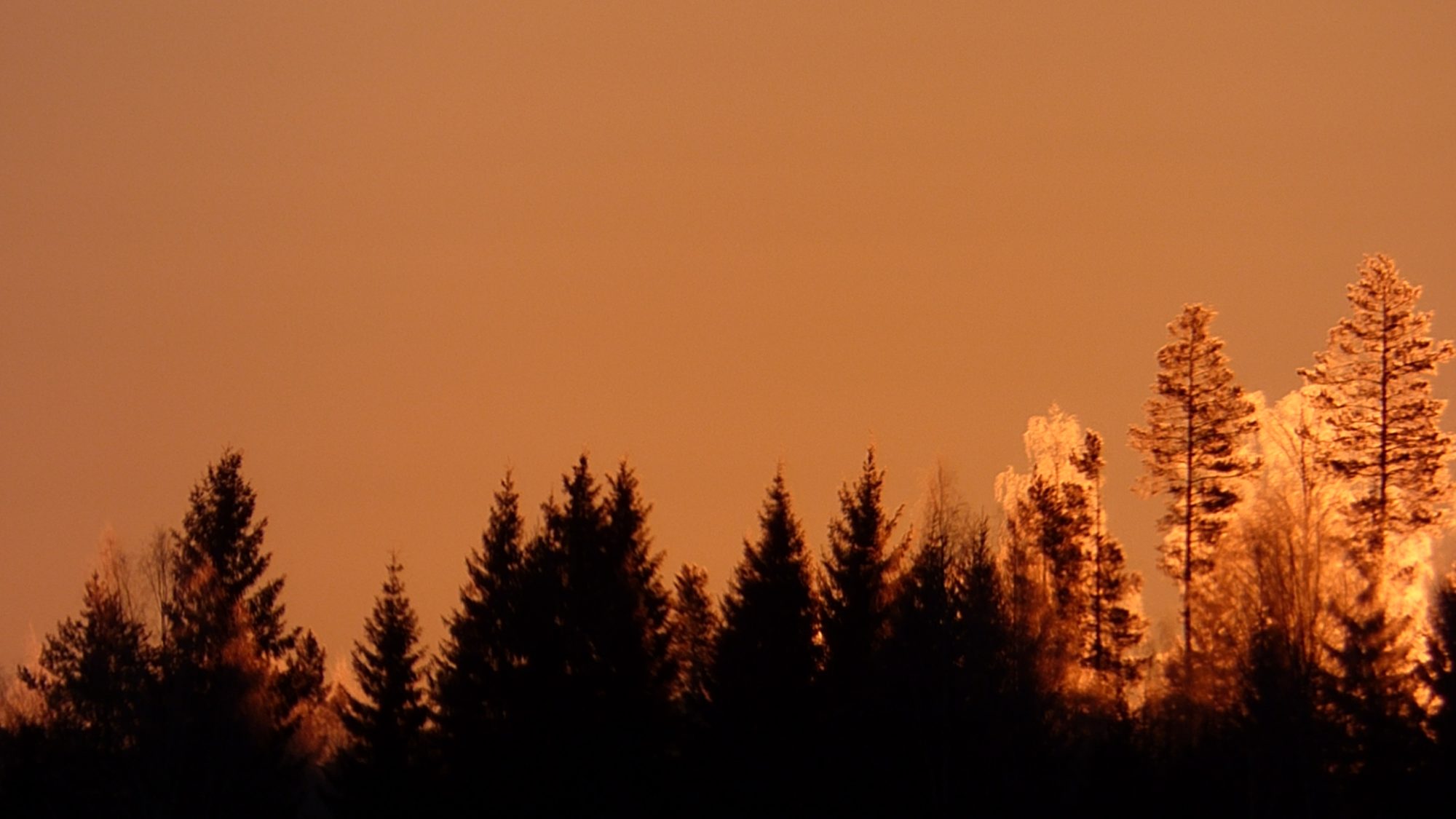 Valokuvaaja: Hannu Rissanen