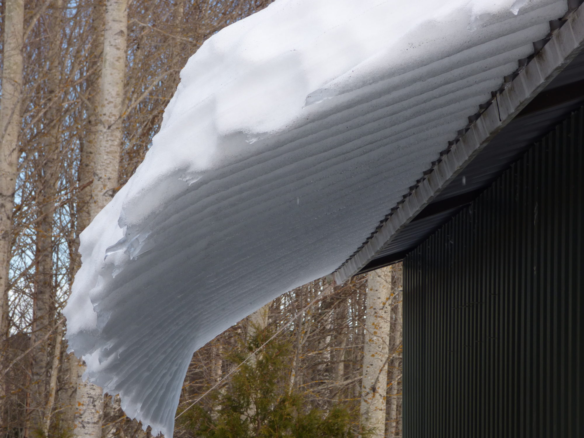 Valokuvaaja: Hannu Rissanen