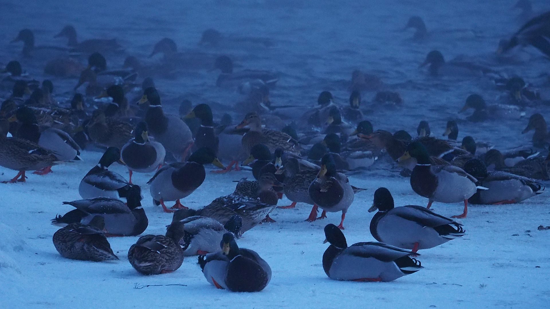 Valokuvaaja: Arja Valtonen