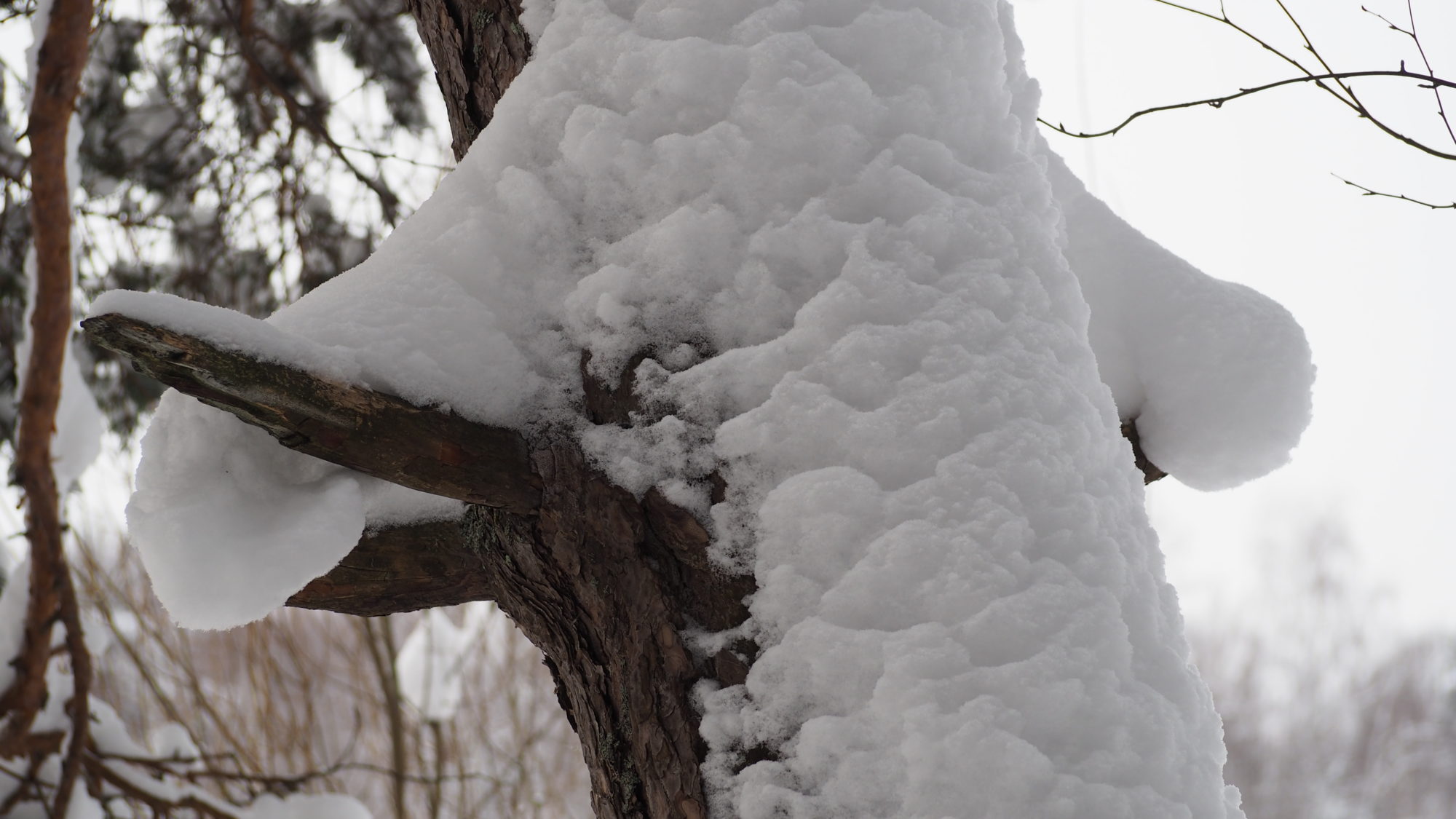 Valokuvaaja: Arja Valtonen Valokuvaaja: Arja Valtonen